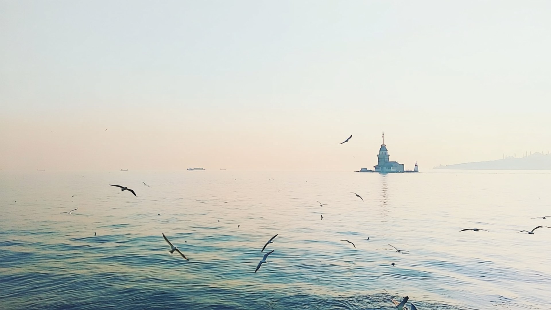 Maiden's Tower Morning 壁紙 — 海鷗在平靜的水面上翱翔，在黎明時分飛向遠處的少女塔，伴隨著柔和粉彩的天空。