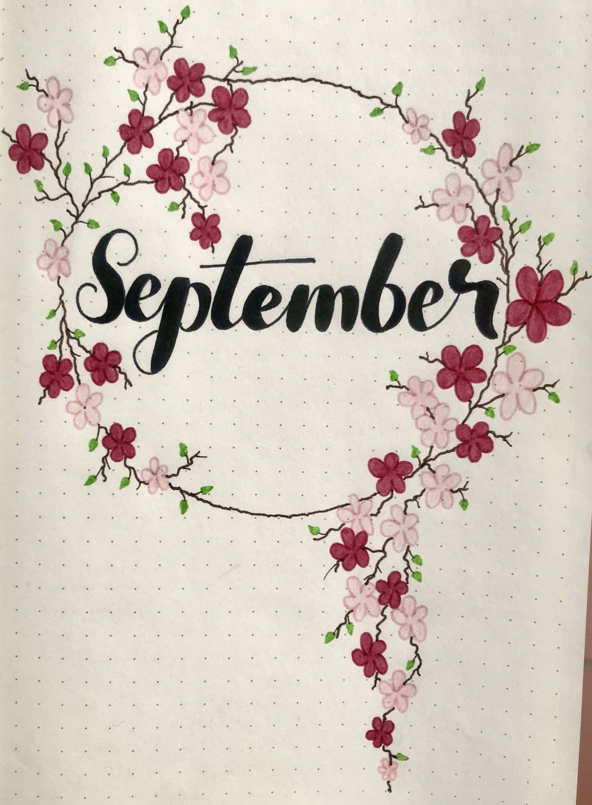 September 桌布 壁紙 — 「September」這個詞以黑色墨水優雅地書寫，在點點紙上被粉紅色和洋紅色的櫻花精緻花環環繞。