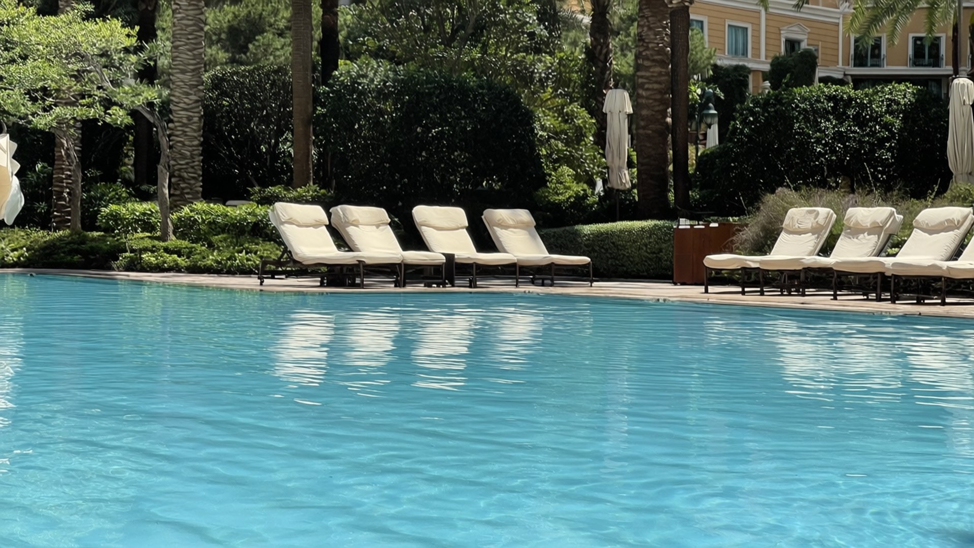 Wynn Resort Poolside 壁紙 — 寧靜的池畔場景，一排奶油色躺椅倒映在平靜的碧綠水面上，周圍環繞著茂密的綠植和棕櫚樹。