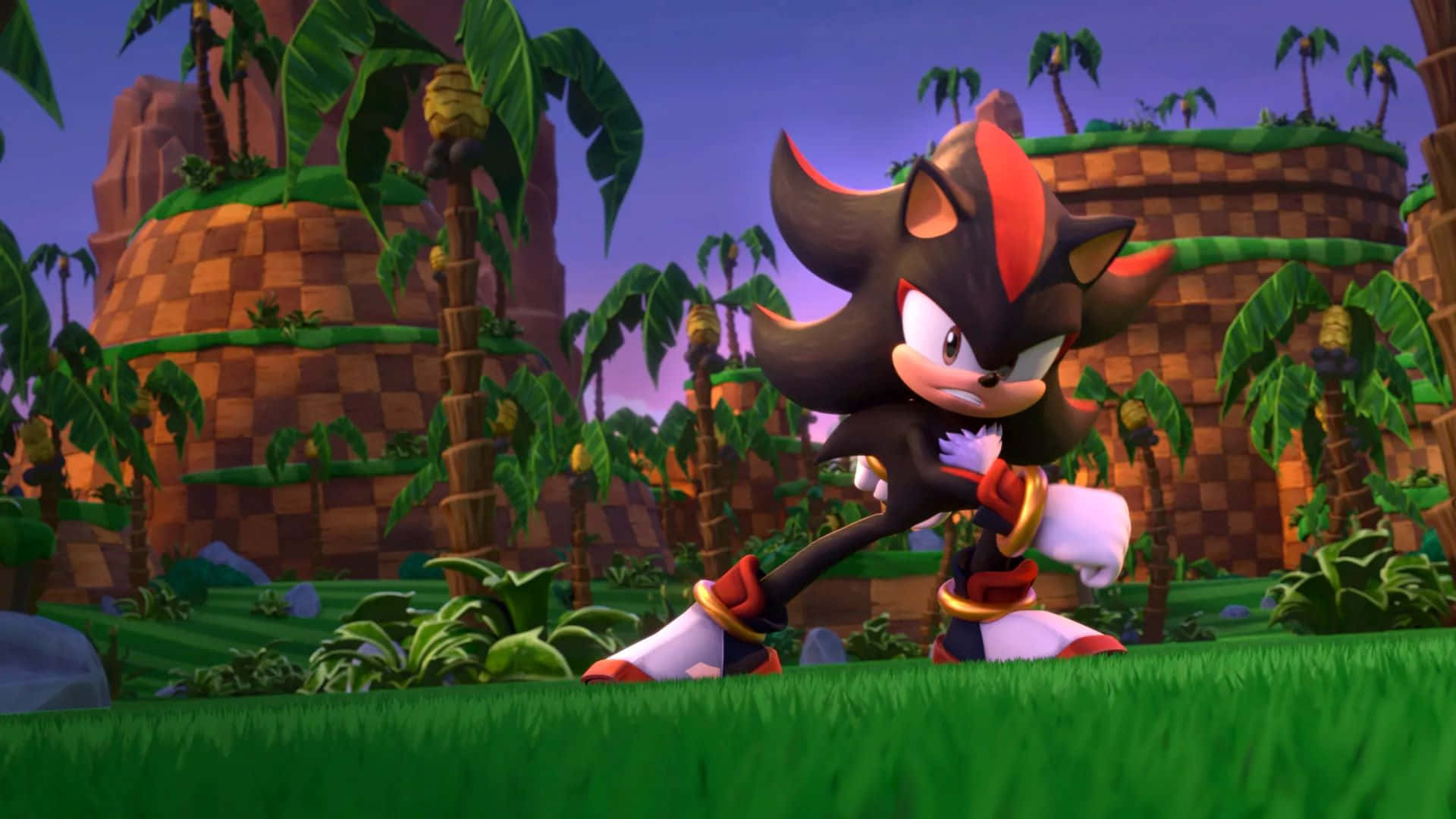  壁紙 — Shadow the Hedgehog 在一個有棕櫚樹和方格石遺跡的充滿活力的叢林中，在黃昏天空下擺好姿勢。