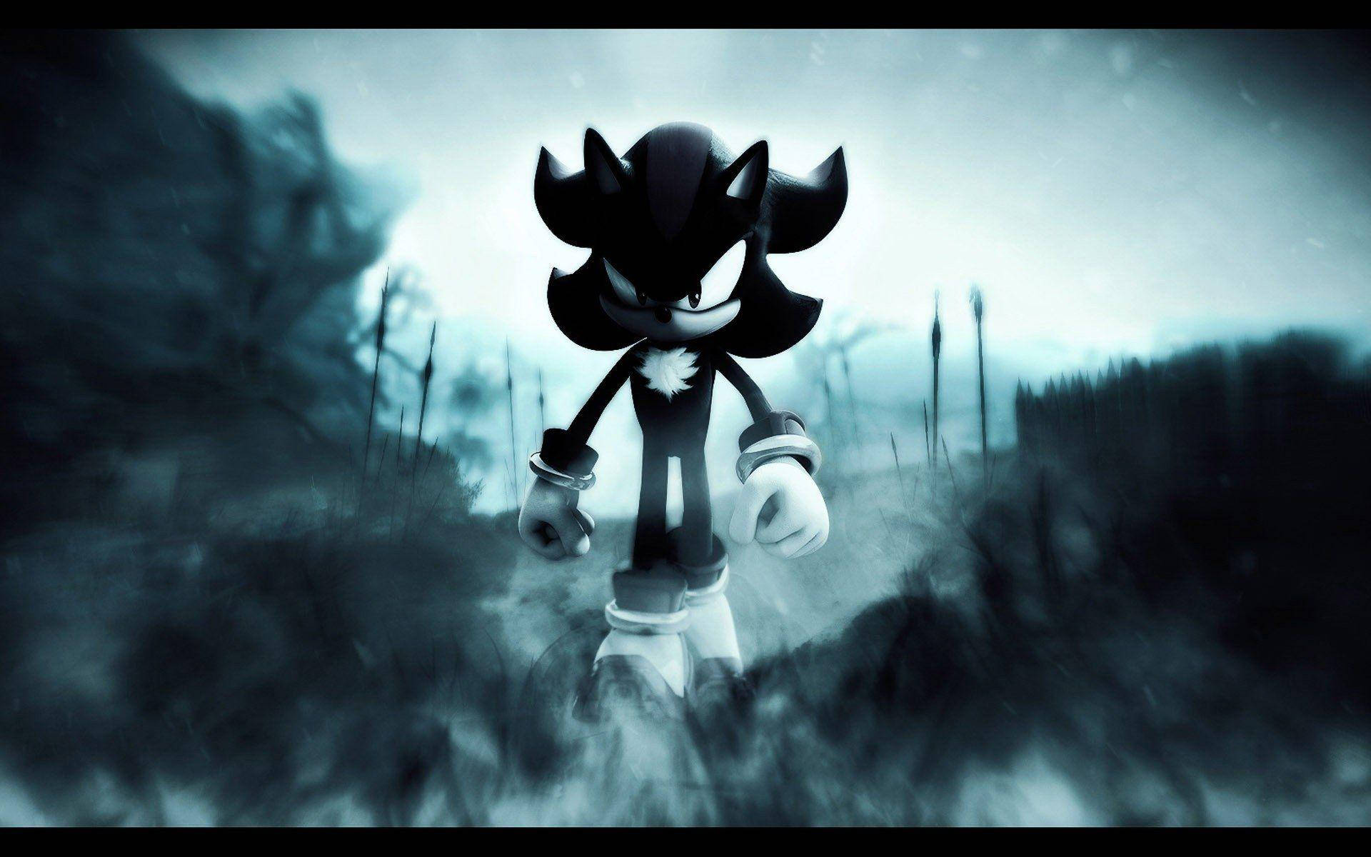 Shadow The Hedgehog 桌布 壁紙 — Shadow the Hedgehog 在陰沉天空下，威風凜凜地站在迷霧籠罩的黑暗森林中。