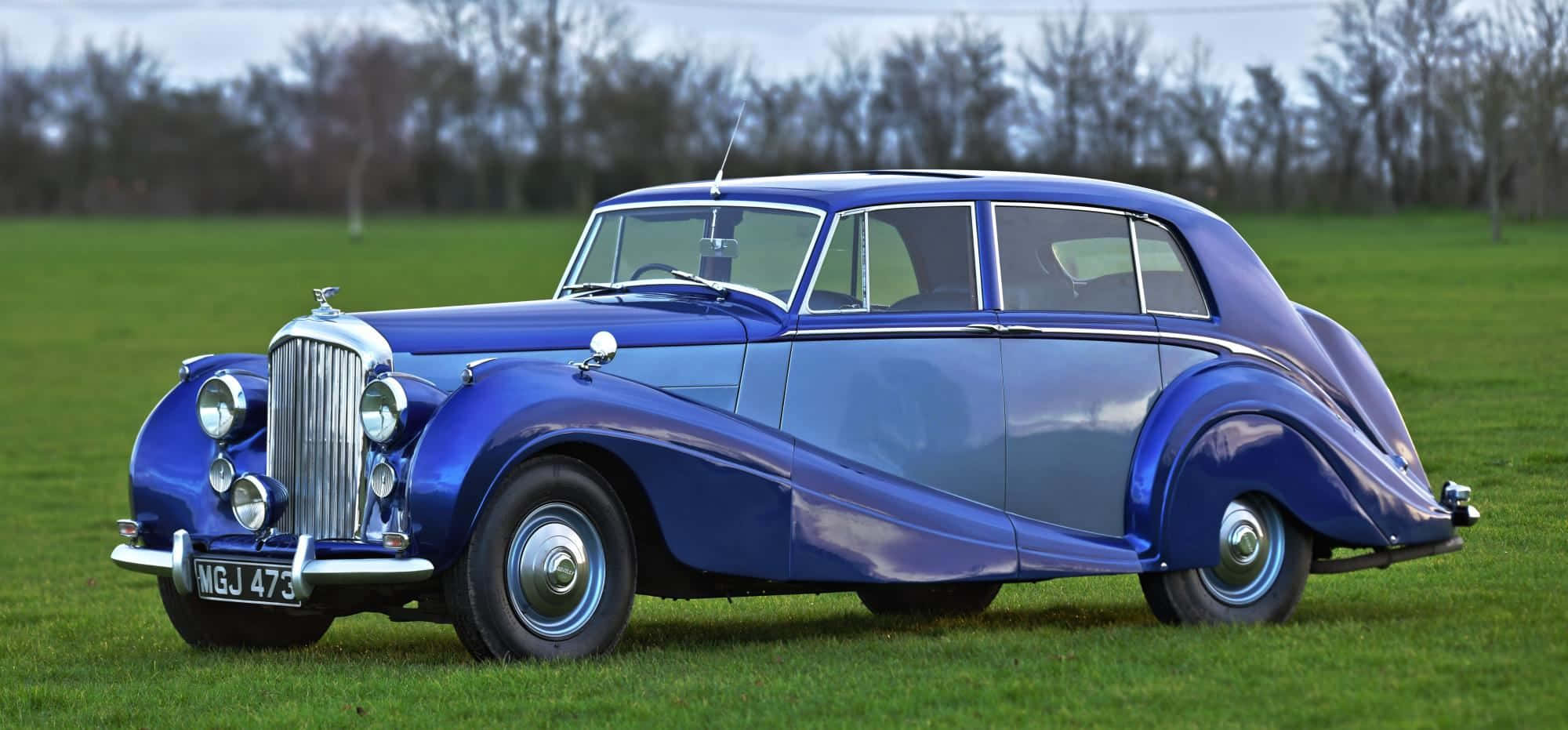 Bentley Mark Vi 桌布 壁紙 — 一輛時尚的復古藍色賓利轎車在陰天背景下，在草地上閃閃發光，背景有光禿禿的樹木。