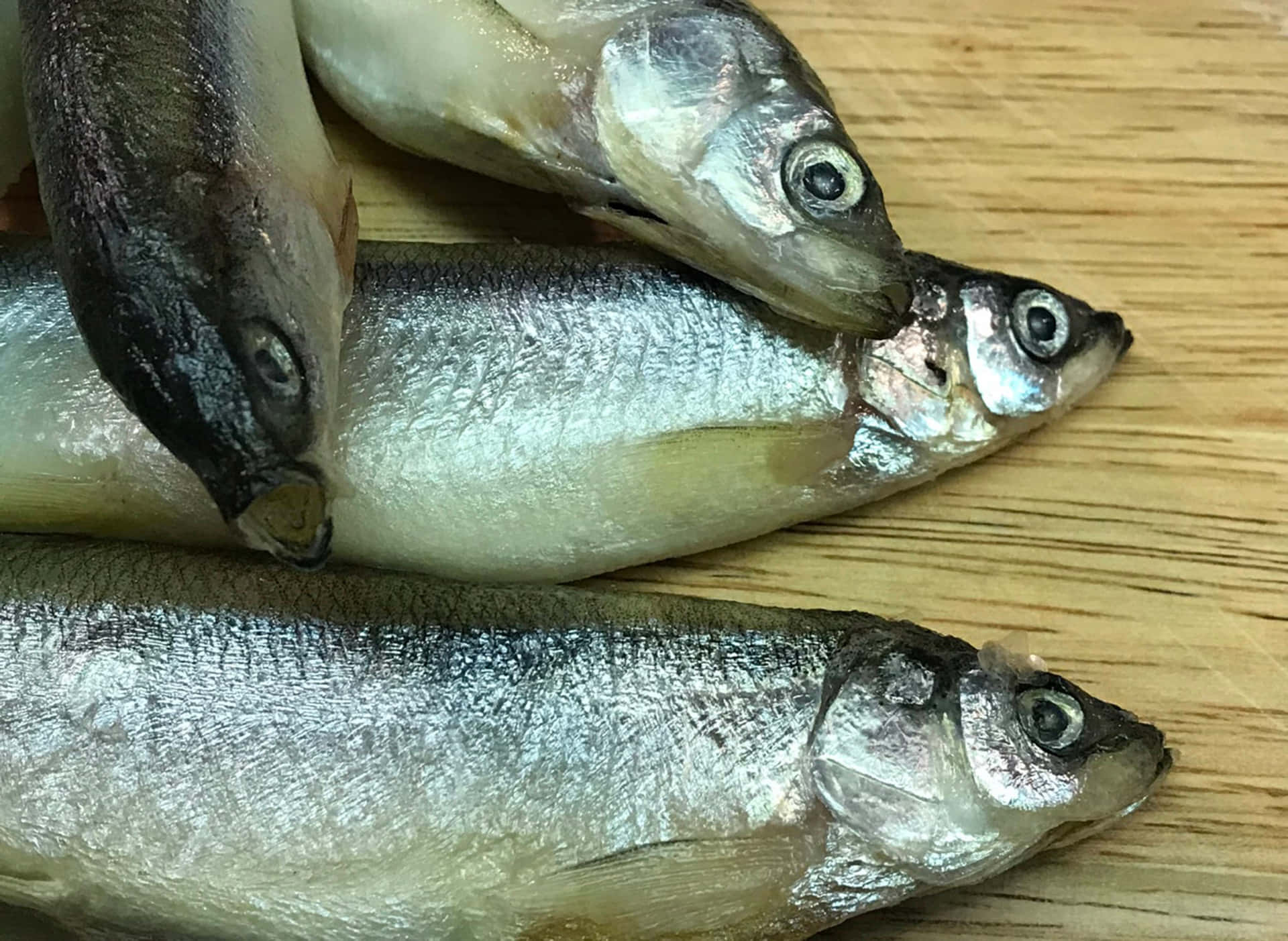  壁紙 — 四條細小銀色魚，眼睛如玻璃，堆放在淺色木面上。