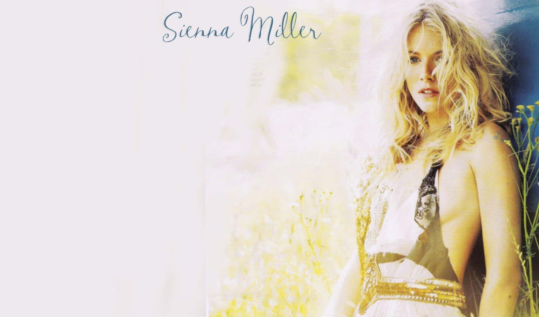 攝影 桌布 壁紙 — Sienna Miller 在陽光明媚的田野中，穿著帶有金色飾邊和花卉圖案的白色連衣裙，溫柔地凝視著。