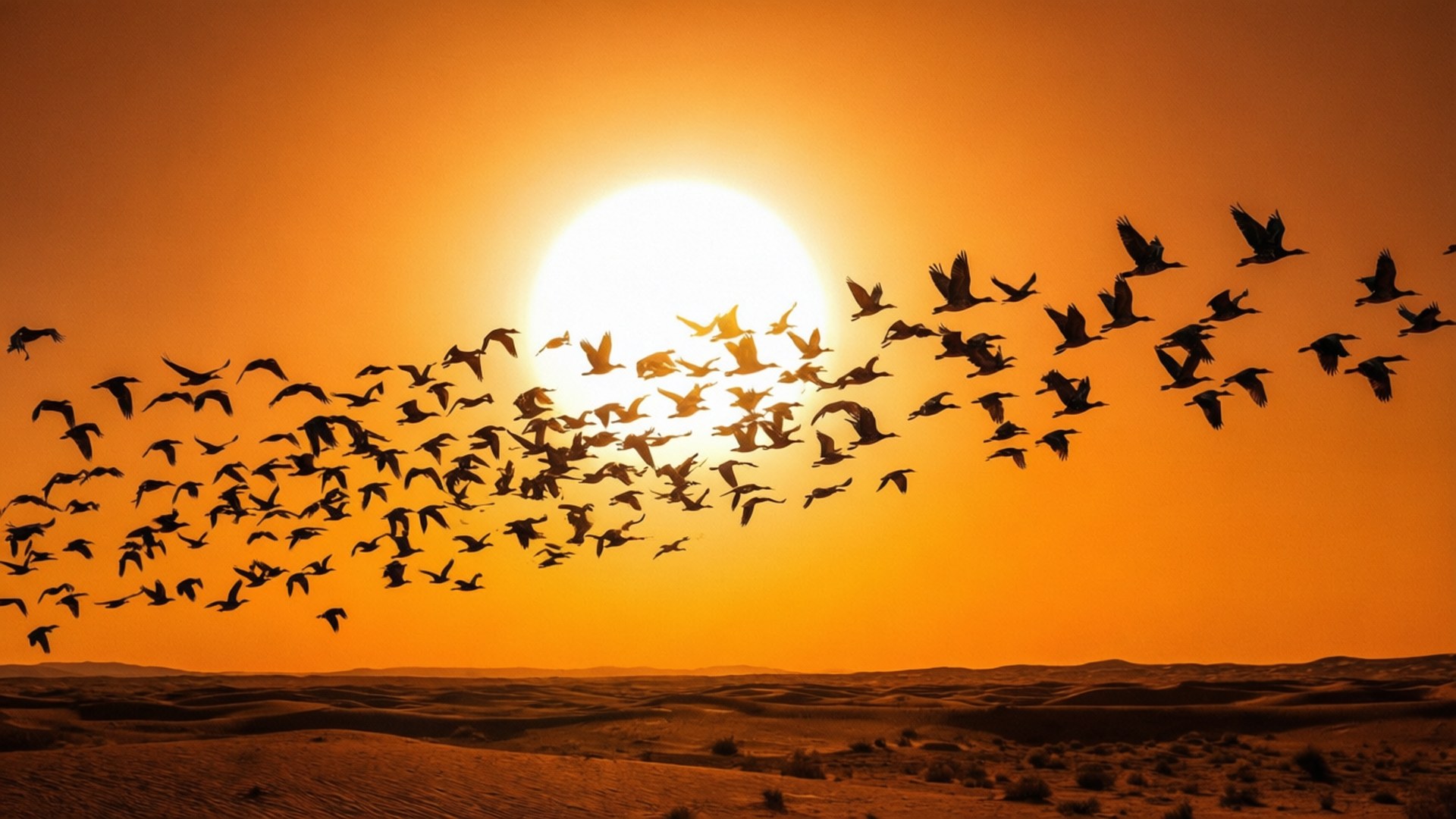 Birds Across the Sun 壁紙 — 剪影鳥兒以 V 形編隊翱翔，越過沙漠景觀上充滿活力的橙色日落。