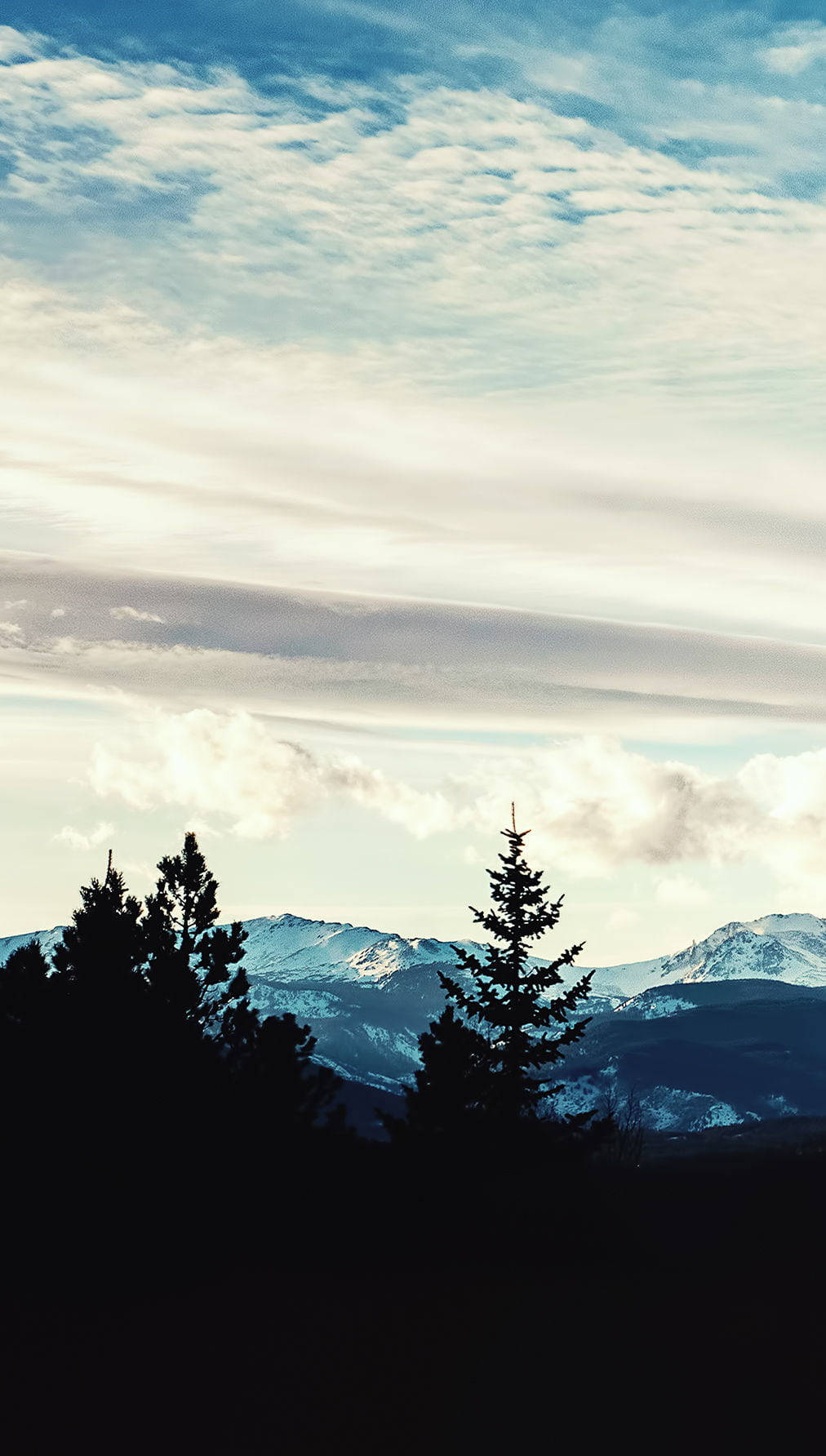 剪影松樹映襯著雪山，天空多雲。 — iPhone X 壁紙