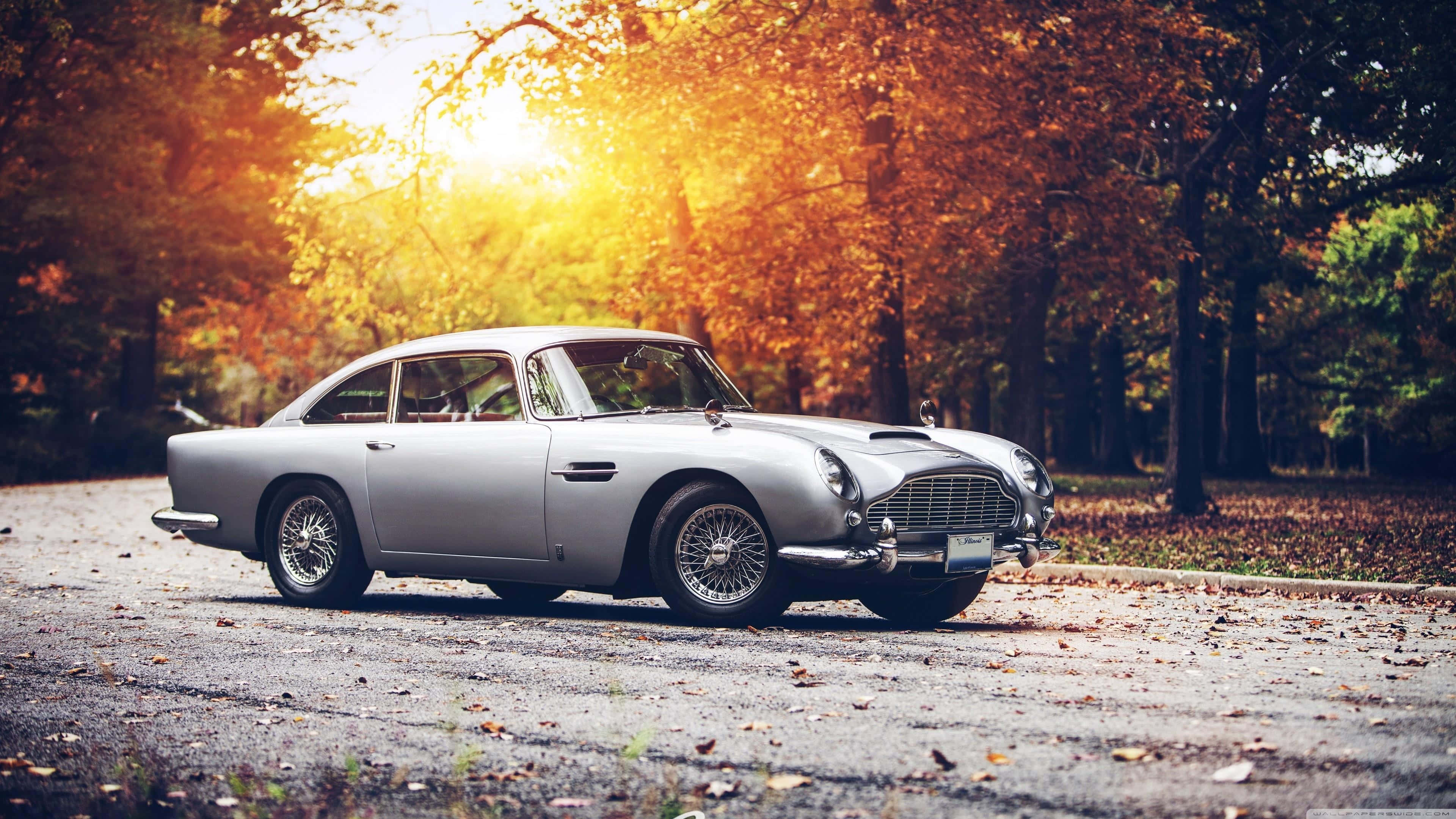 Aston Martin Db5 桌布 壁紙 — 一輛銀色經典Aston Martin DB5停泊在落葉滿佈的道路上，背景是金黃色的秋樹和陽光耀斑。