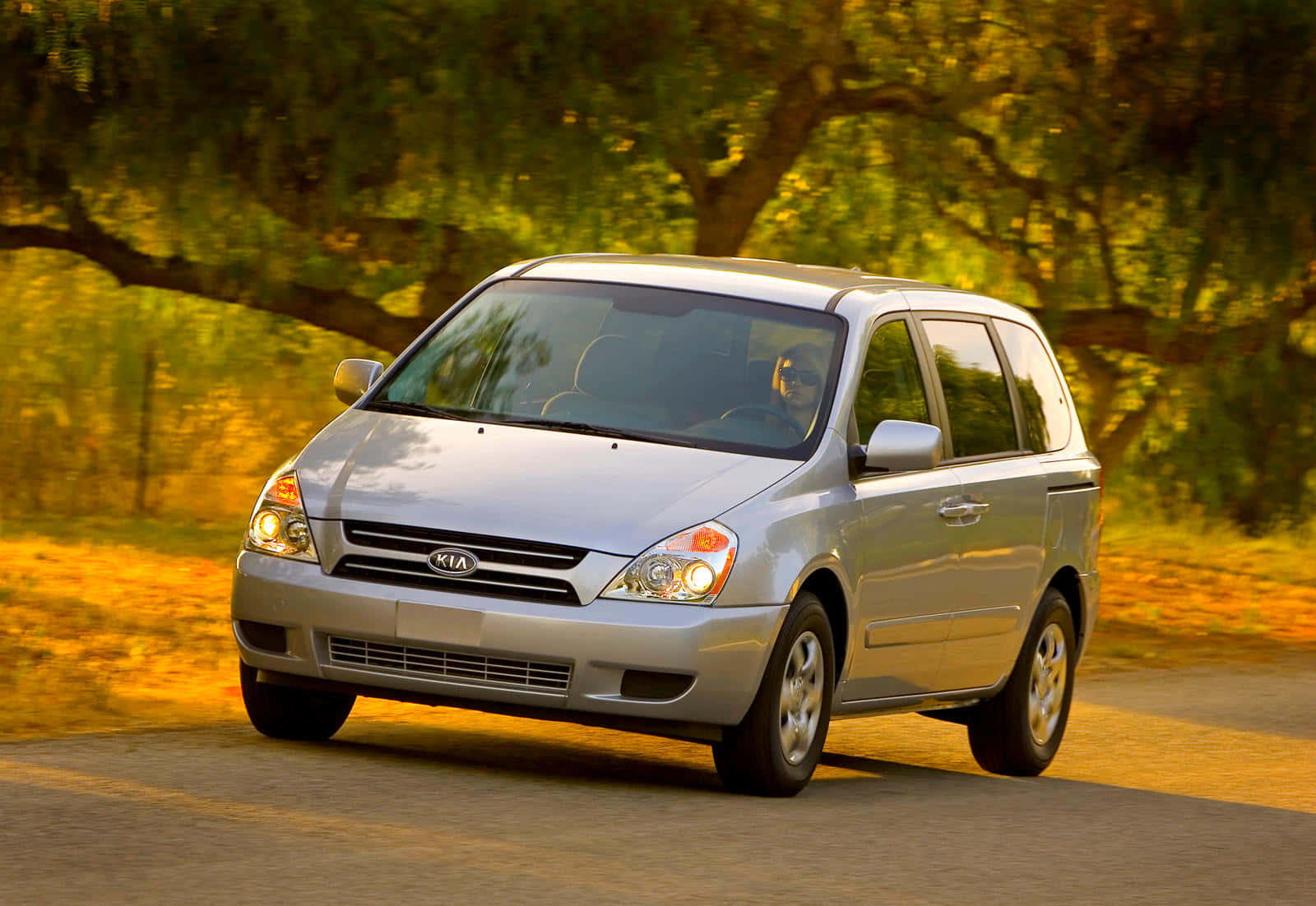 Kia Sedona 桌布 壁紙 — 一輛銀色的Kia迷你廂型車行駛在一條綠樹成蔭的道路上，沐浴在溫暖的金色陽光中。