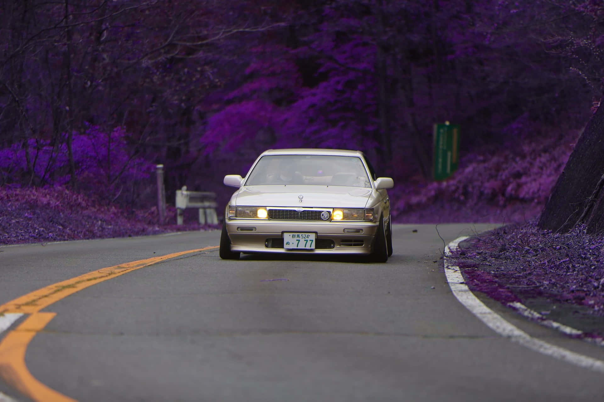  壁紙 — 一輛銀色跑車亮著發光的車頭燈，行駛在一條蜿蜒的道路上，兩旁是充滿活力的紫色樹葉。