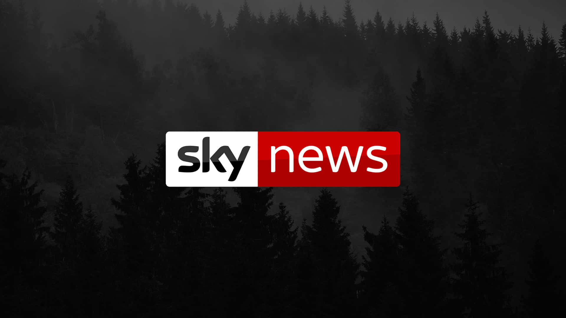 高清 桌布 壁紙 — Sky News 標誌居中顯示在陰暗霧氣森林上方，有松樹剪影。
