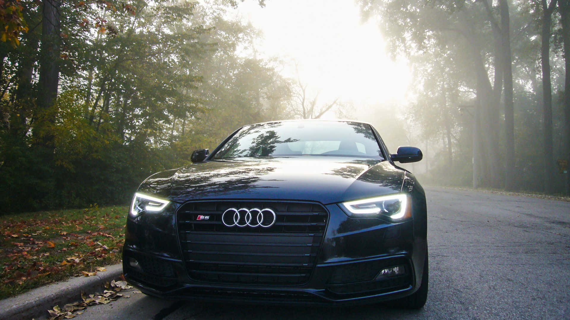 Audi S4 桌布 壁紙 — 一輛時尚的黑色奧迪S5跑車在霧氣瀰漫的晨光下，閃耀在鋪滿落葉的林間道路上。
