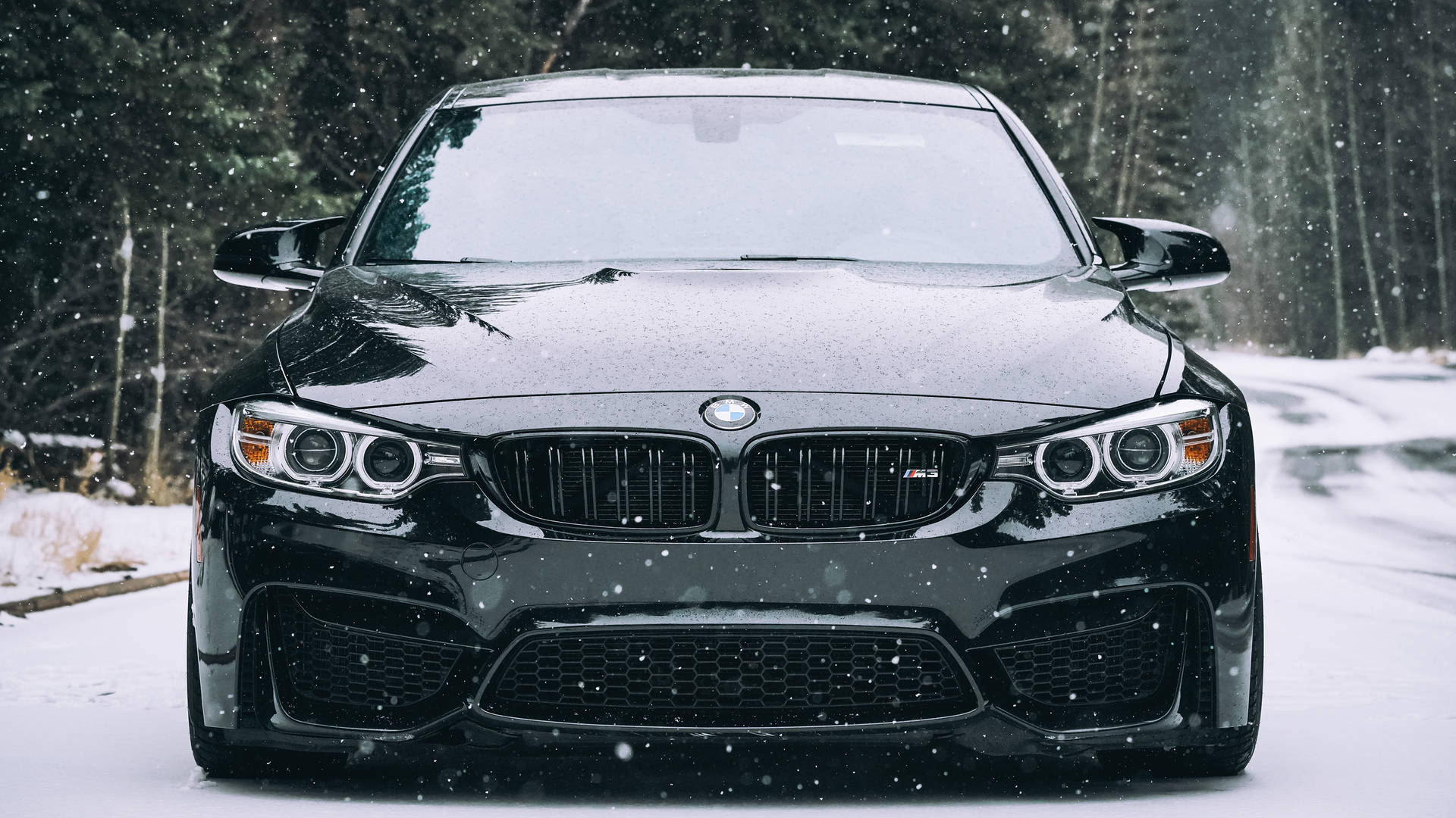 冬季降雪期間，黑色BMW M4停在雪路上，背景有常青樹。 — 4K BMW 壁紙 壁紙