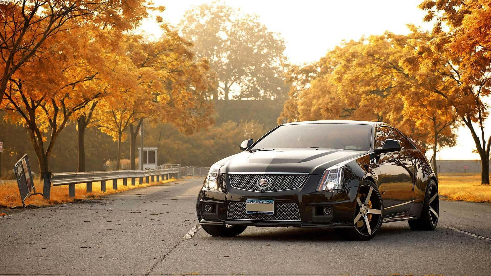 Cadillac Cts 桌布 壁紙 — 一輛時尚的黑色凱迪拉克轎車在秋日金黃陽光下，於林蔭大道上閃閃發光。