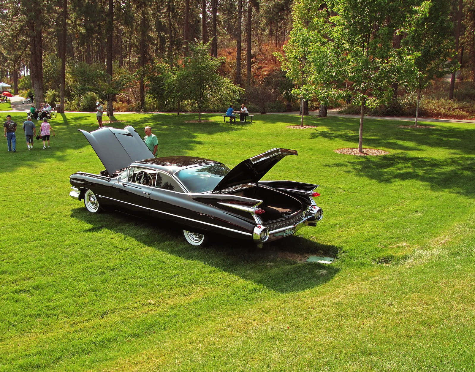 Cadillac Deville 桌布 壁紙 — 一架時尚的黑色經典汽車，引擎蓋和後車廂打開，停在陽光明媚的公園中鮮綠色的草地上，周圍有高大的樹木和人。