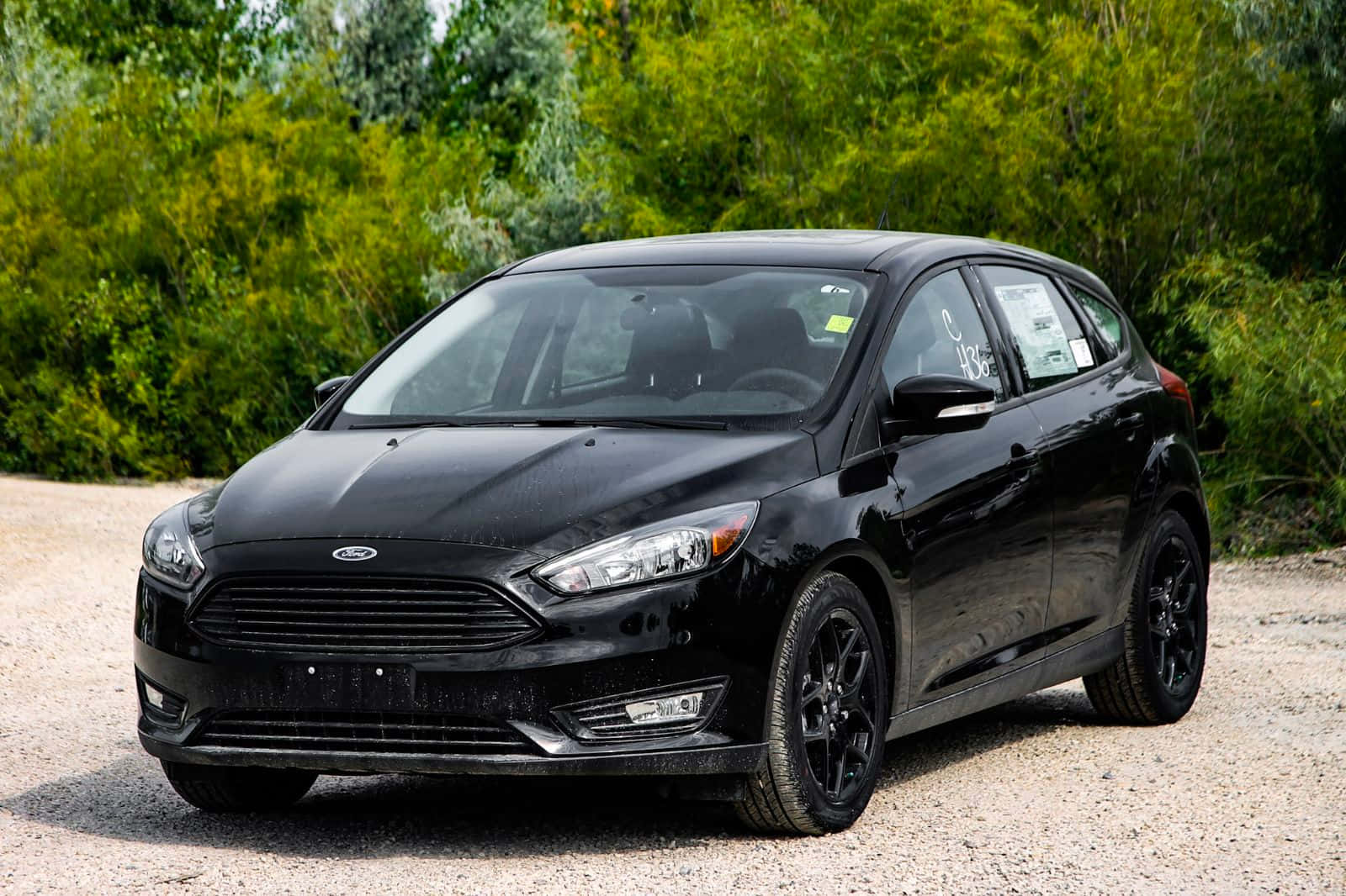 Ford Focus 桌布 壁紙 — 一輛時尚的黑色福特福克斯掀背車停在碎石路上，背景是茂密的綠色樹葉。