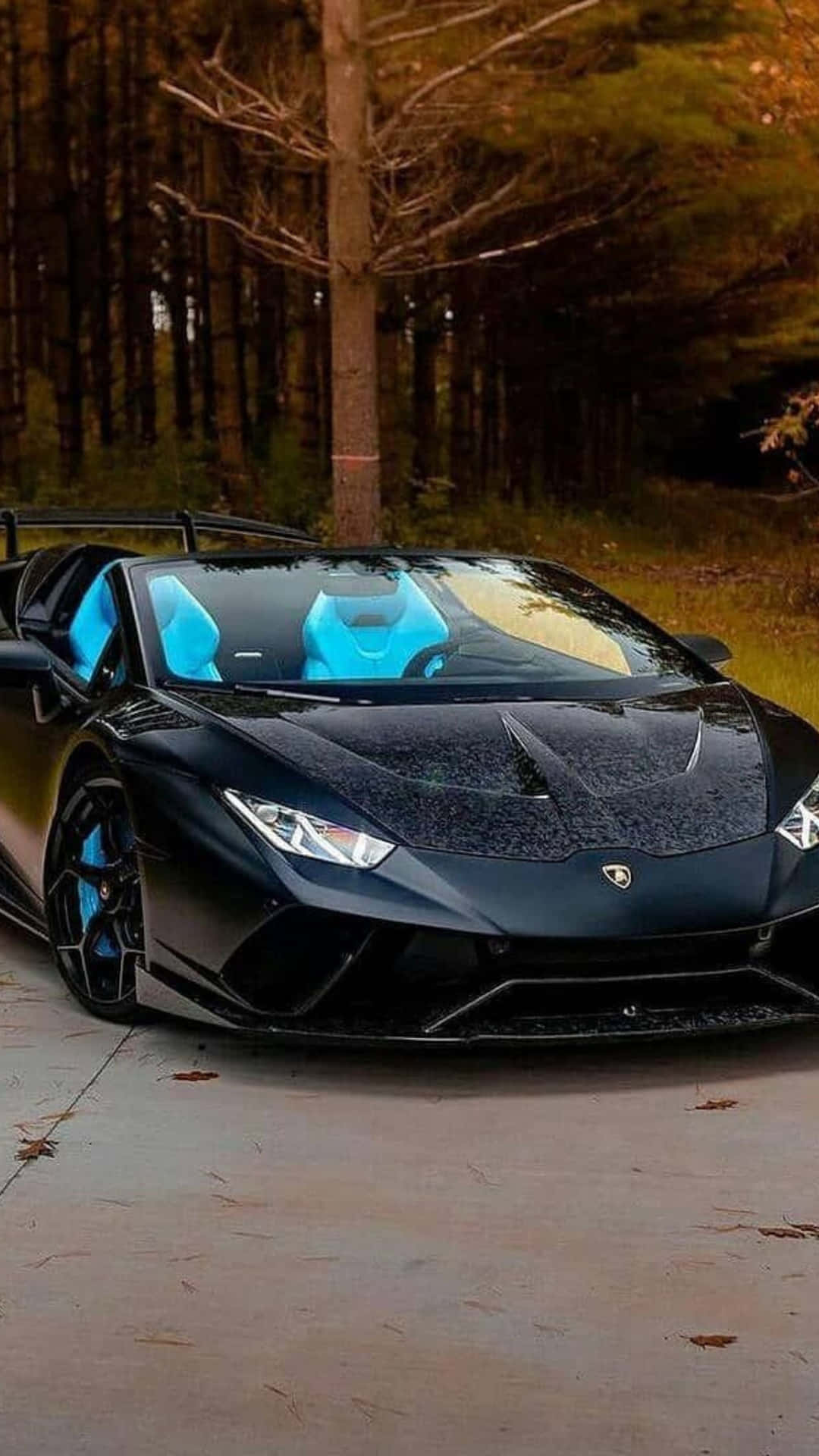  壁紙 — 一輛時尚的黑色藍寶堅尼 Huracán Spyder，配以充滿活力的藍色內裝，停在被秋林環繞的混凝土墊上。