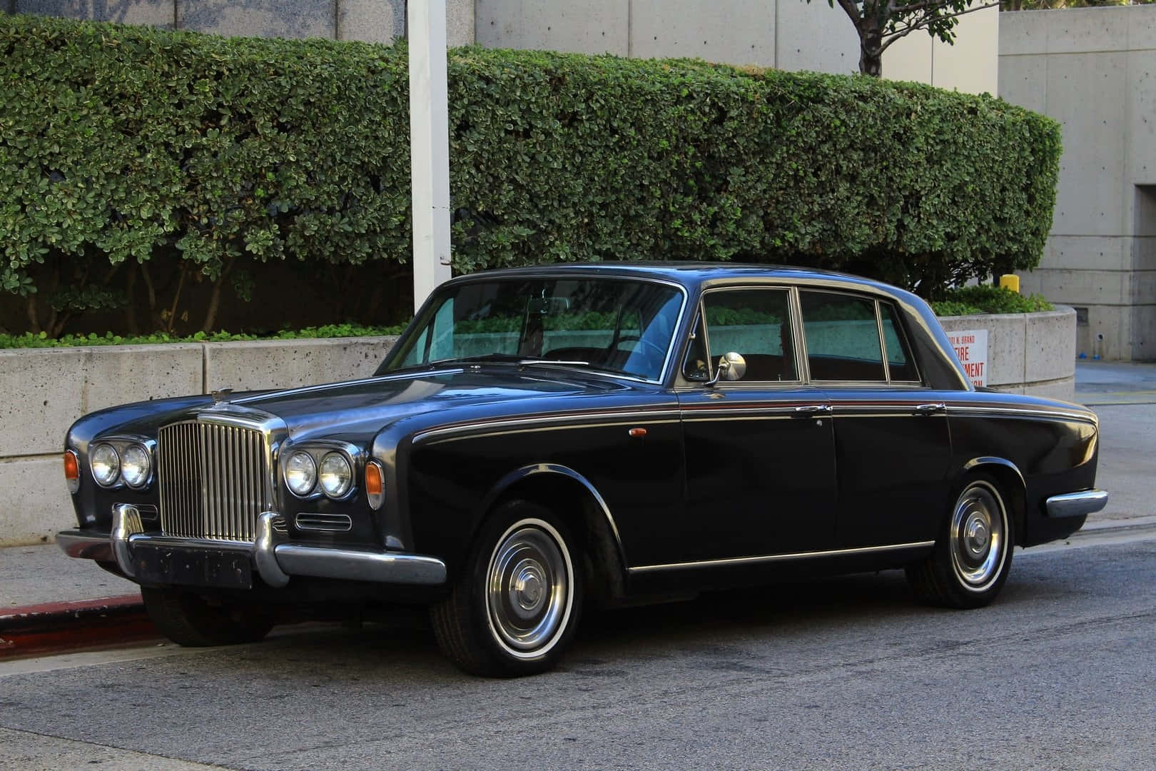 Bentley T1 桌布 壁紙 — 一輛時尚的黑色復古賓利轎車停放在城市街道上，旁邊是修剪整齊的綠色樹籬。