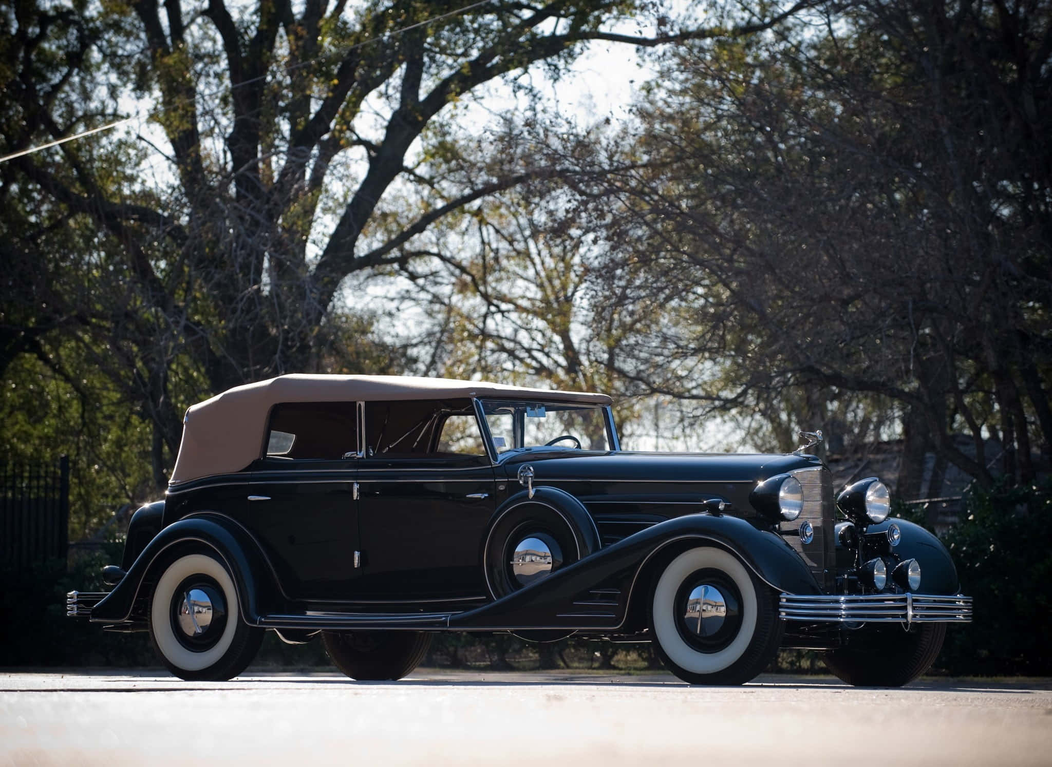 Cadillac Fleetwood 桌布 壁紙 — 一輛時尚的黑色復古敞篷車，配備白色側壁輪胎，在陽光明媚的日子停放在枝葉茂密的樹下。