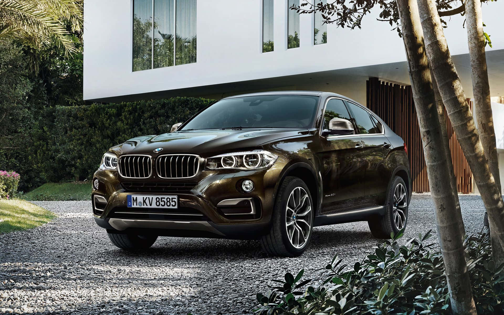 Bmw X6 桌布 壁紙 — 一輛時尚的青銅色BMW X6 SUV停放在碎石路上，前方是現代白色房屋，周圍有茂密的綠植和棕櫚樹。