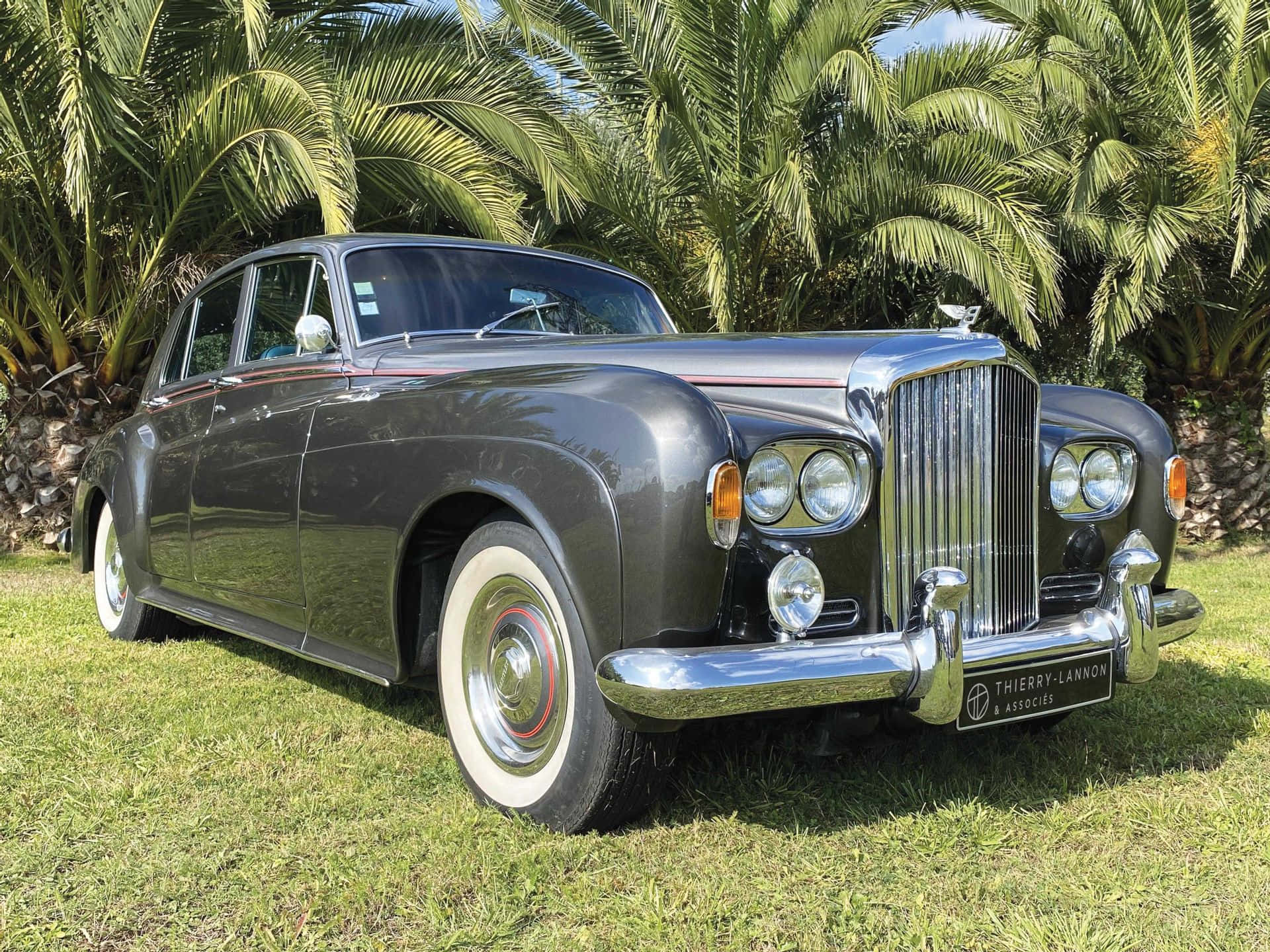 Bentley S3 桌布 壁紙 — 一輛時尚的深灰色復古賓利轎車在明亮的陽光下閃閃發光，停放在茂密的綠色草地上，高大的棕櫚樹在後面搖曳。
