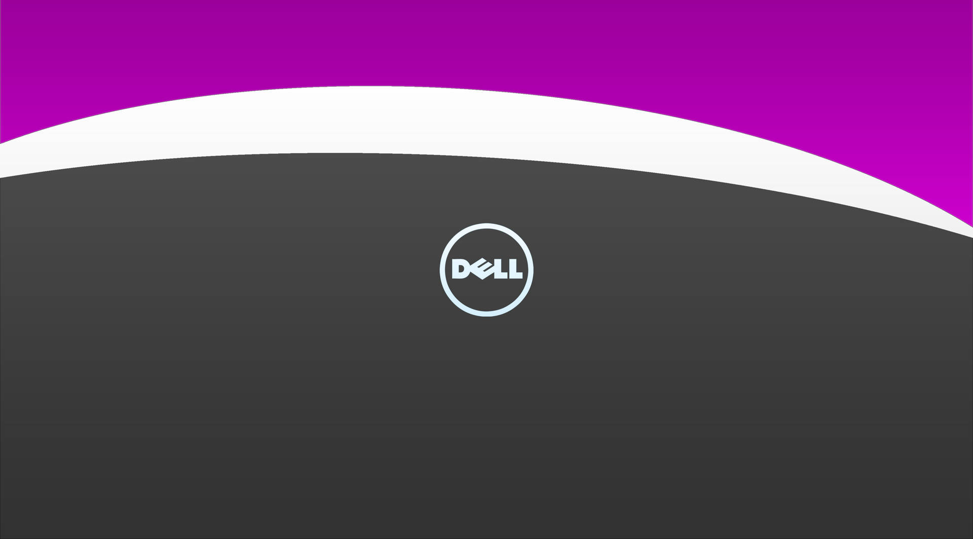 深灰色背景上的Dell標誌，帶有洋紅色波浪和白色曲線 — Dell 壁紙