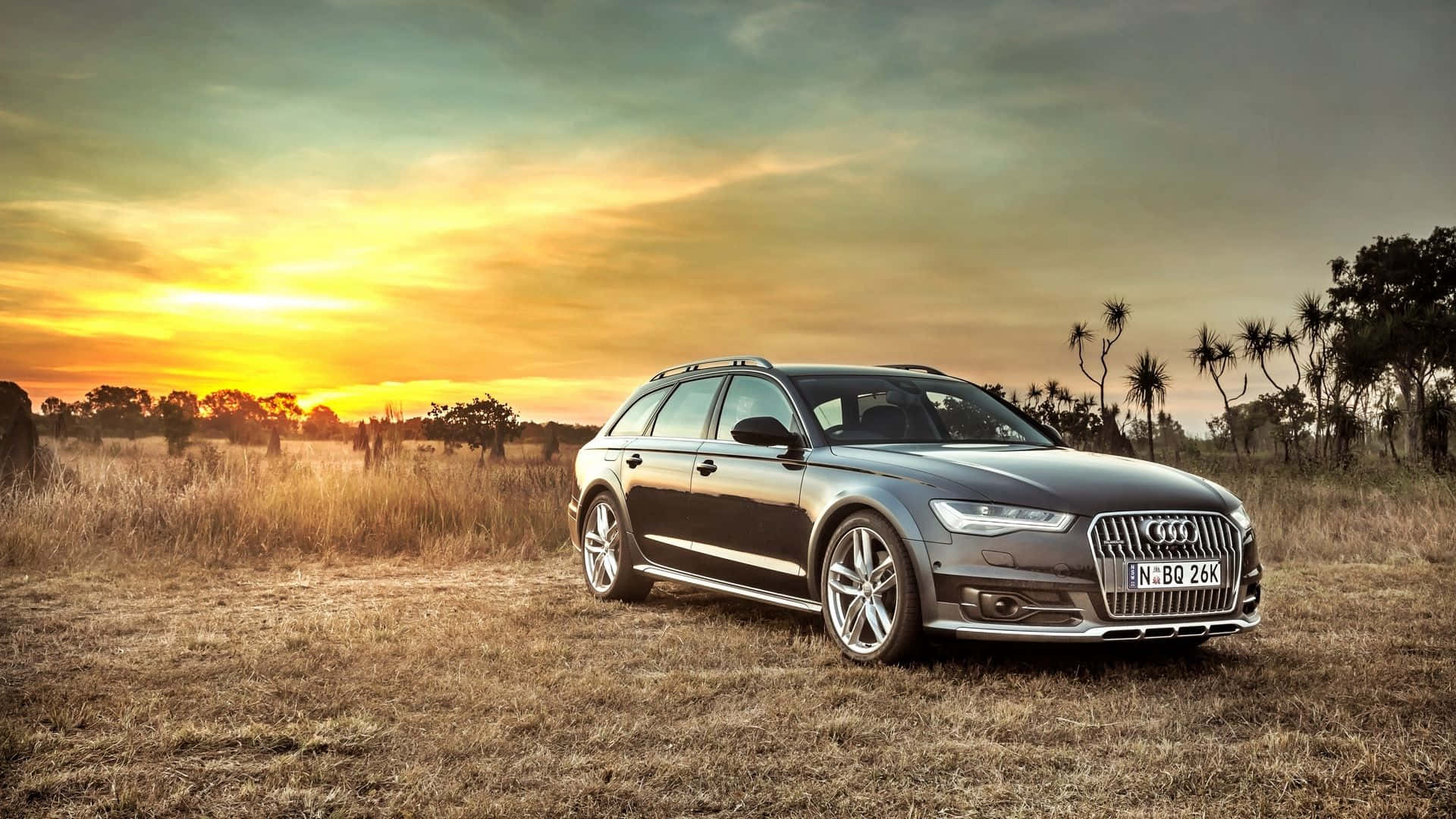 Audi S6 桌布 壁紙 — 一架時尚的灰色奧迪旅行車停泊在日落時分的金色草地上，背景有棕櫚樹。