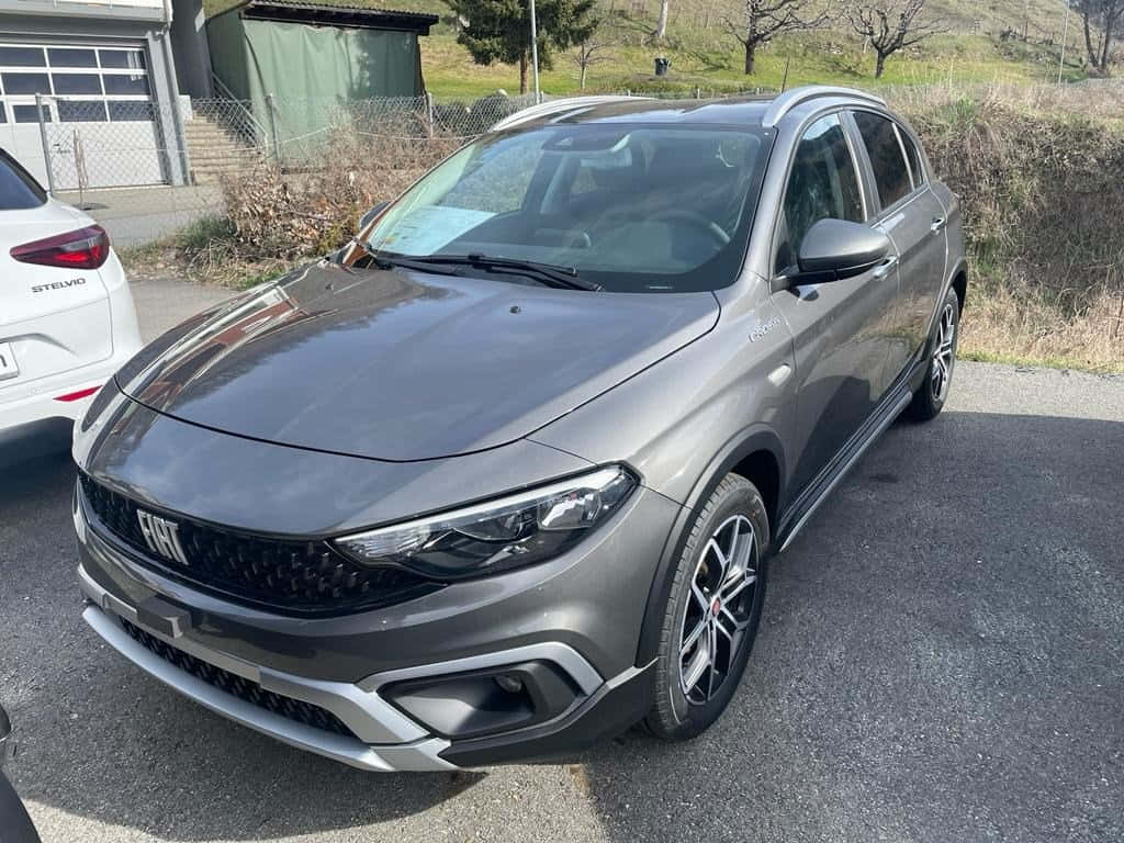 Fiat Tipo 桌布 壁紙 — 一輛時尚的灰色Fiat Panda Cross停在柏油路上，旁邊有一輛白色汽車，背景是草地山丘。