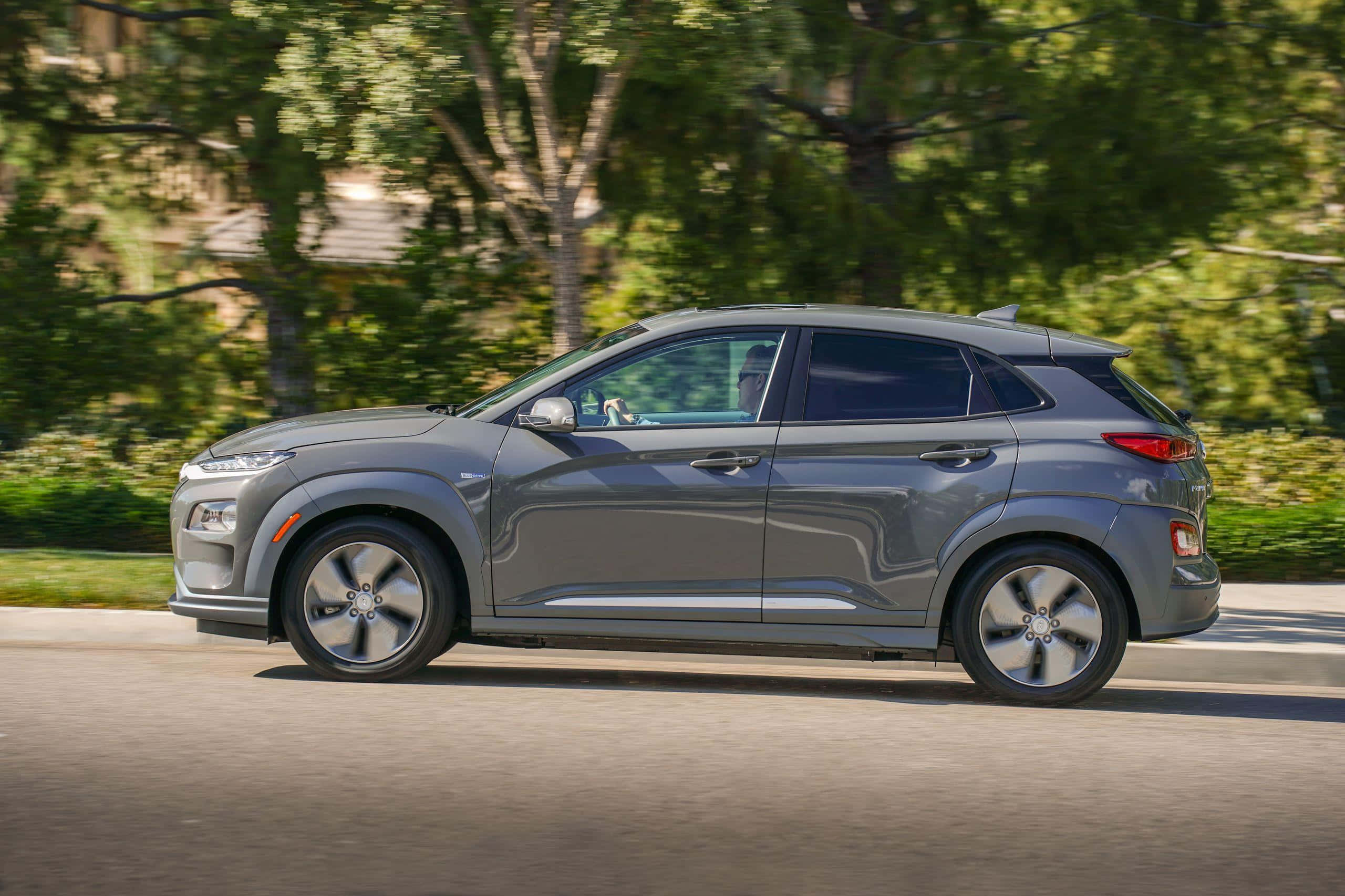 Hyundai Kona 桌布 壁紙 — 一輛時尚的灰色現代Kona SUV在陽光明媚的郊區街道上行駛，街道兩旁綠樹成蔭。