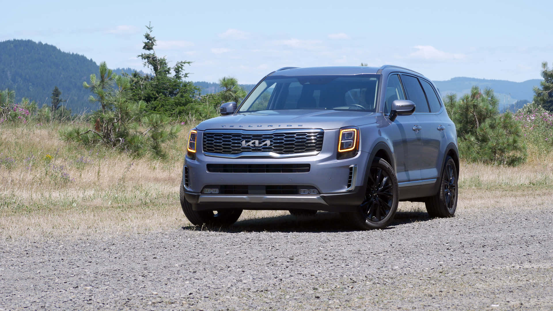 Kia Telluride 桌布 壁紙 — 一輛時尚的灰色Kia Telluride SUV配黑色輪圈，停泊在碎石路上，周圍是野草和遠處的森林山丘，天空湛藍。