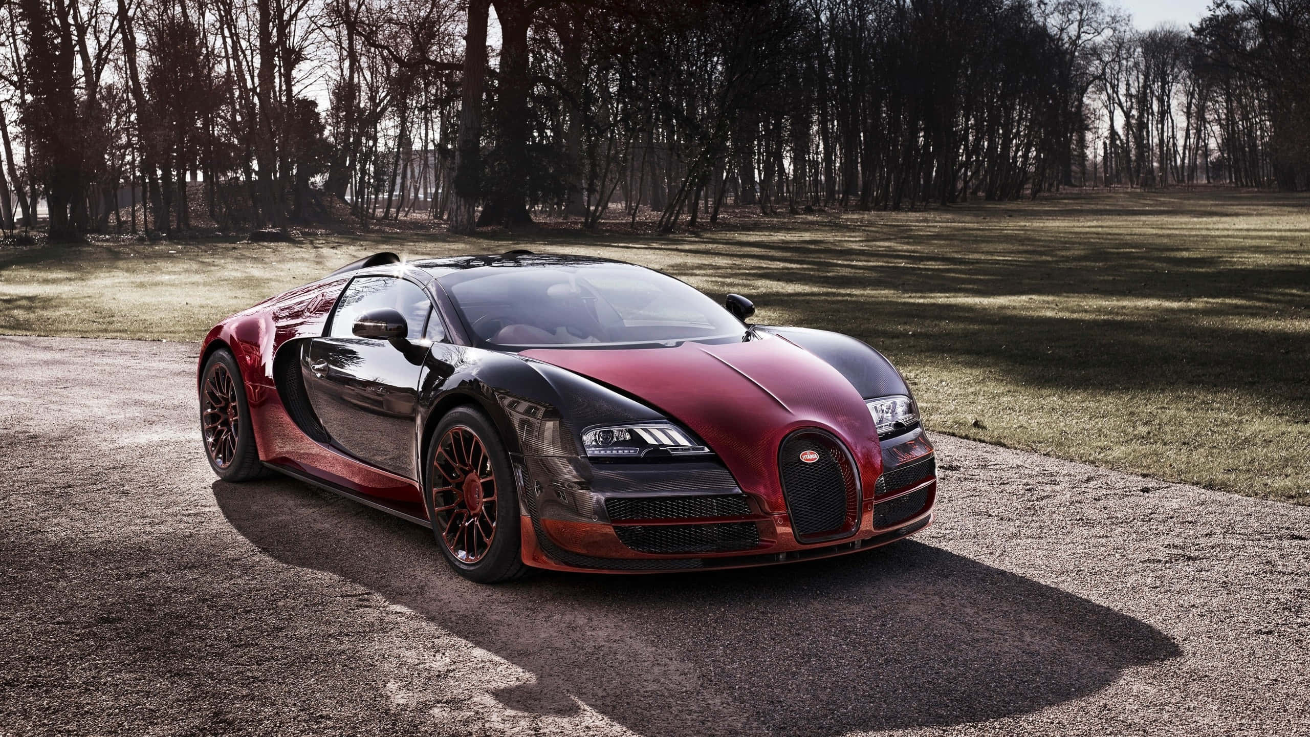 Bugatti Veyron 桌布 壁紙 — 一輛時尚的紅色和黑色Bugatti Veyron停泊在碎石路上，周圍是寂靜森林中的光禿樹木。