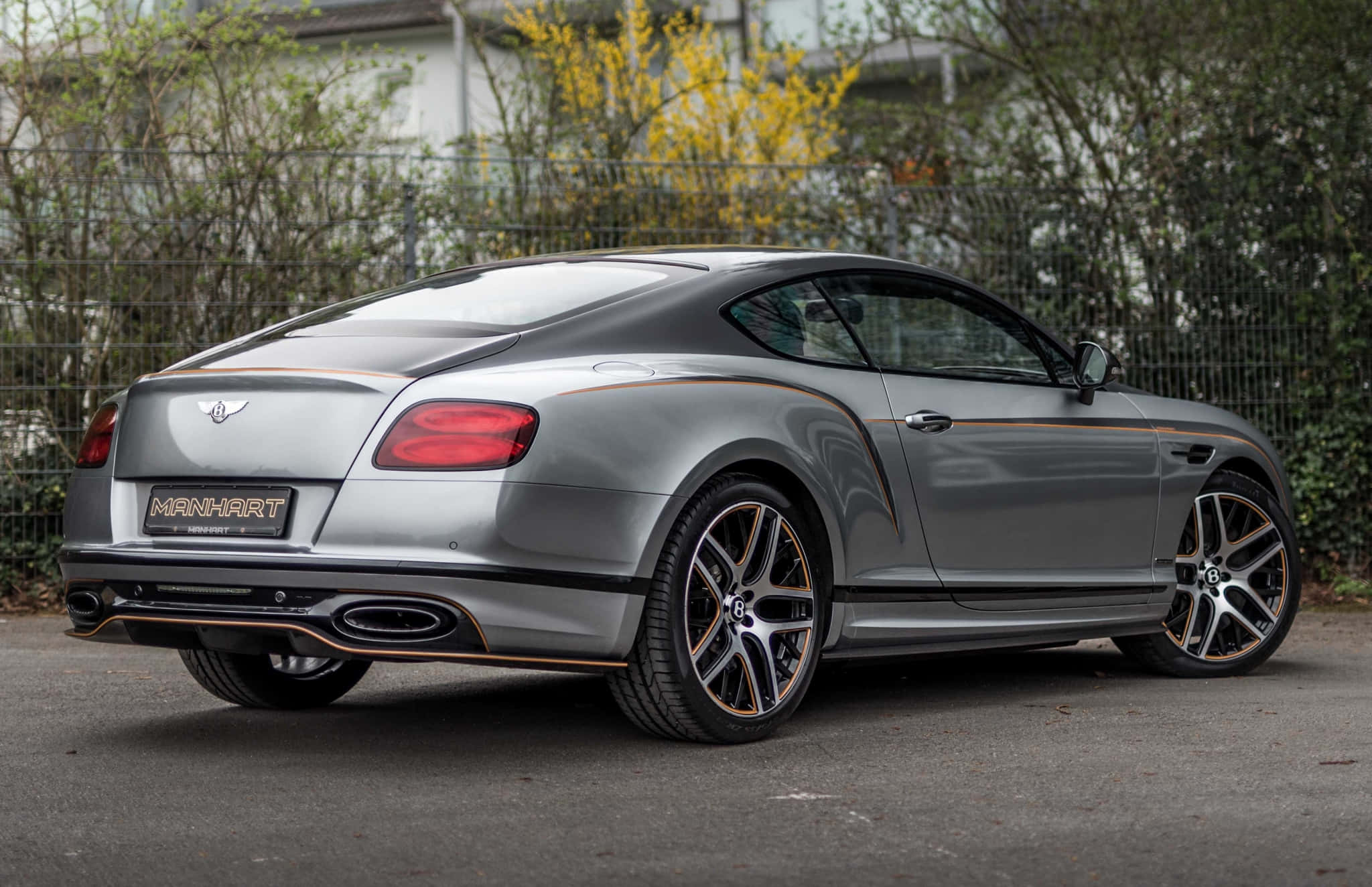 Bentley Continental Supersports 桌布 壁紙 — 一台時尚的銀色賓利 Continental GT 配金色飾邊，停在柏油路上，旁邊有鐵絲網圍欄和綠植。