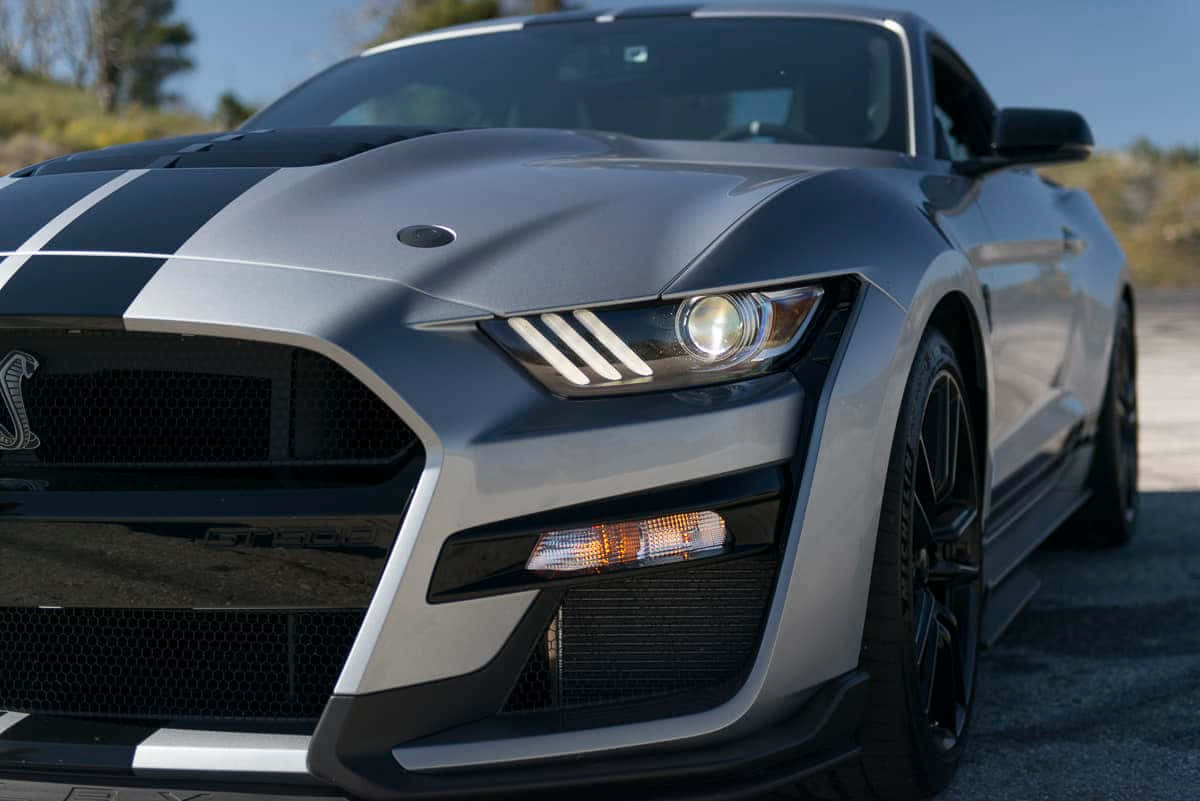  壁紙 — 一輛時尚的銀色福特Shelby GT500，帶有黑色賽車條紋，停在陽光明媚的碎石路上。