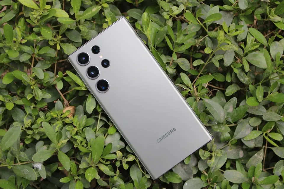  壁紙 — 一部時尚的銀色Samsung智慧型手機斜放在充滿活力的綠色葉子上，自然光突顯其相機陣列。