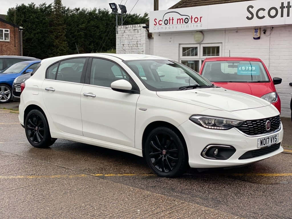Fiat Tipo 桌布 壁紙 — 一架時尚的白色Fiat Punto配黑色輪圈，停放在潮濕的汽車經銷商停車場，天空多雲。