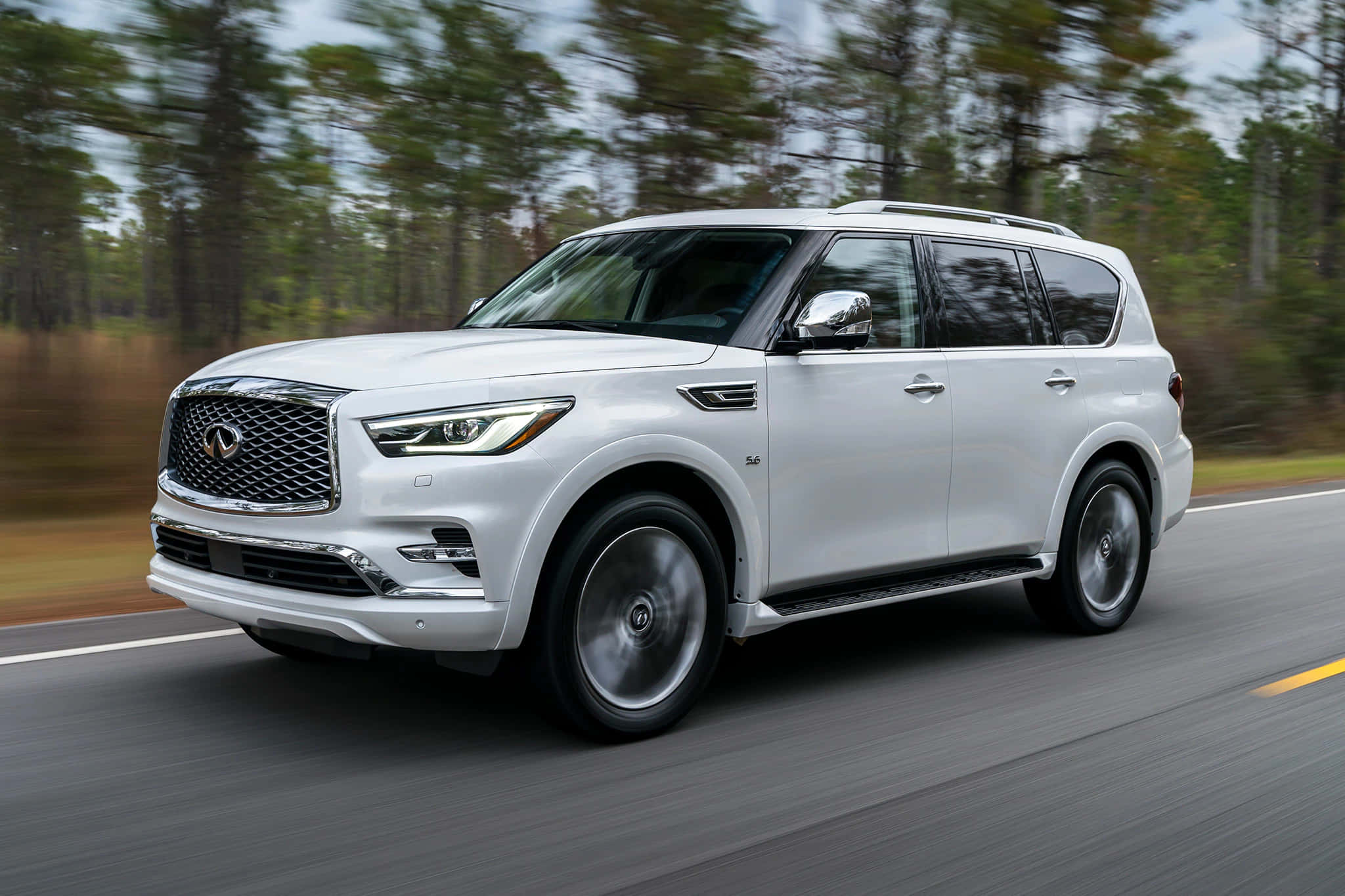 Infiniti Qx80 桌布 壁紙 — 一輛時尚的白色Infiniti QX80 SUV在森林道路上行駛，動態模糊強調其動感。