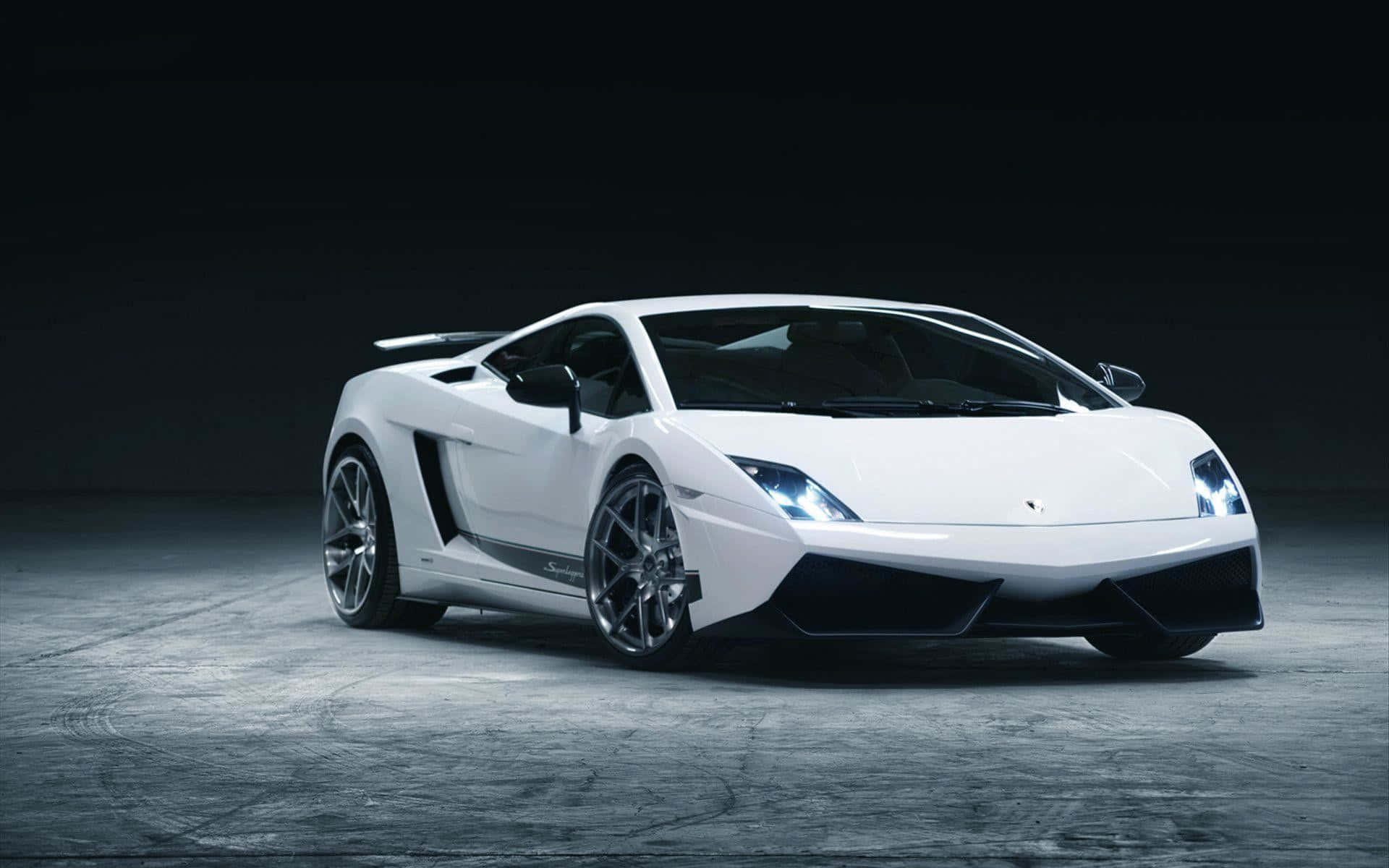 Lamborghini Gallardo 桌布 壁紙 — 一輛時尚的白色藍寶堅尼Gallardo跑車在黑暗的混凝土地板上，在攝影棚燈光下閃耀。