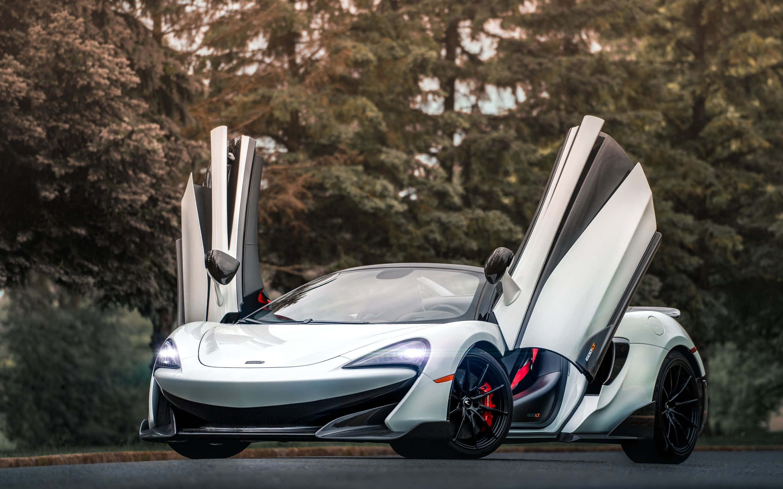 Mclaren 600lt 桌布 壁紙 — 一輛流線型白色McLaren跑車，鷗翼車門打開，停在綠樹成蔭的道路上。