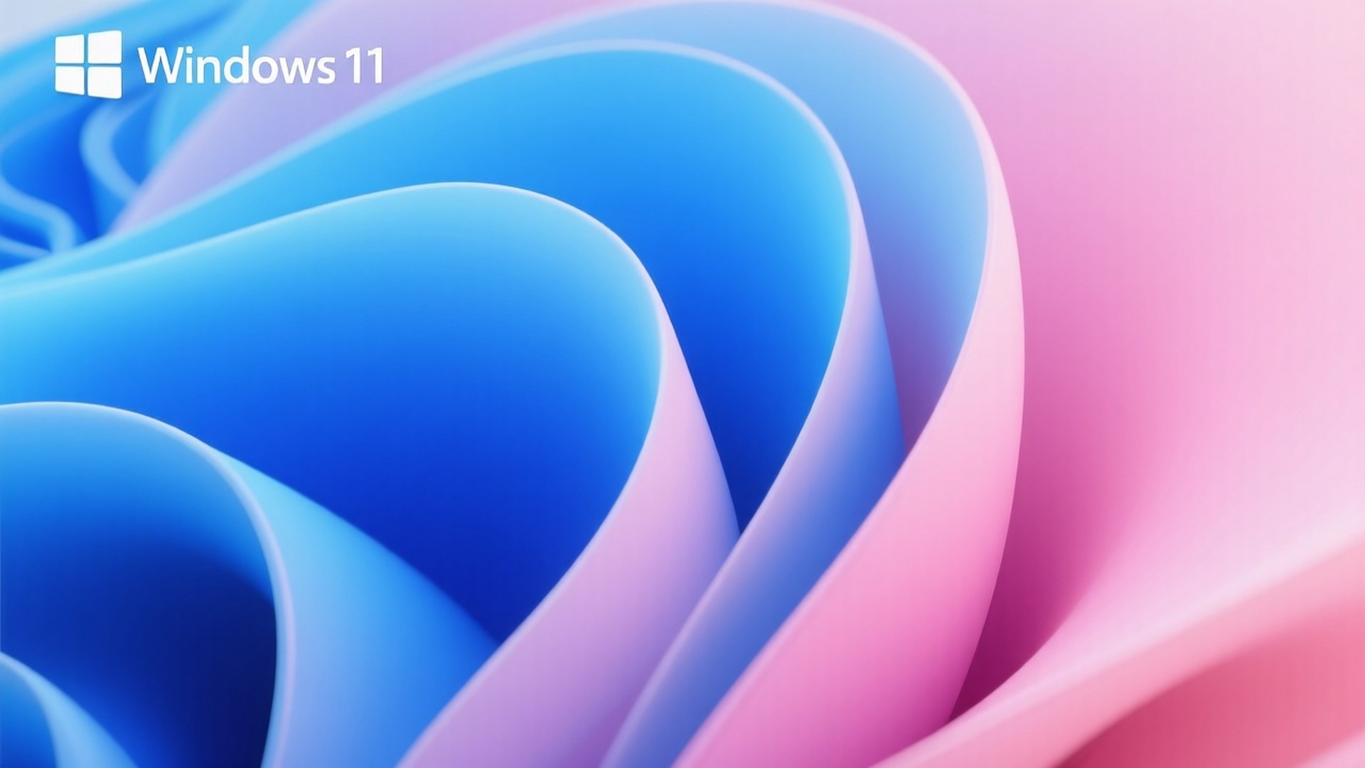 帶有 Windows 11 標誌的流動藍色和粉紅色波浪抽象數位桌布 — Windows 11 壁紙