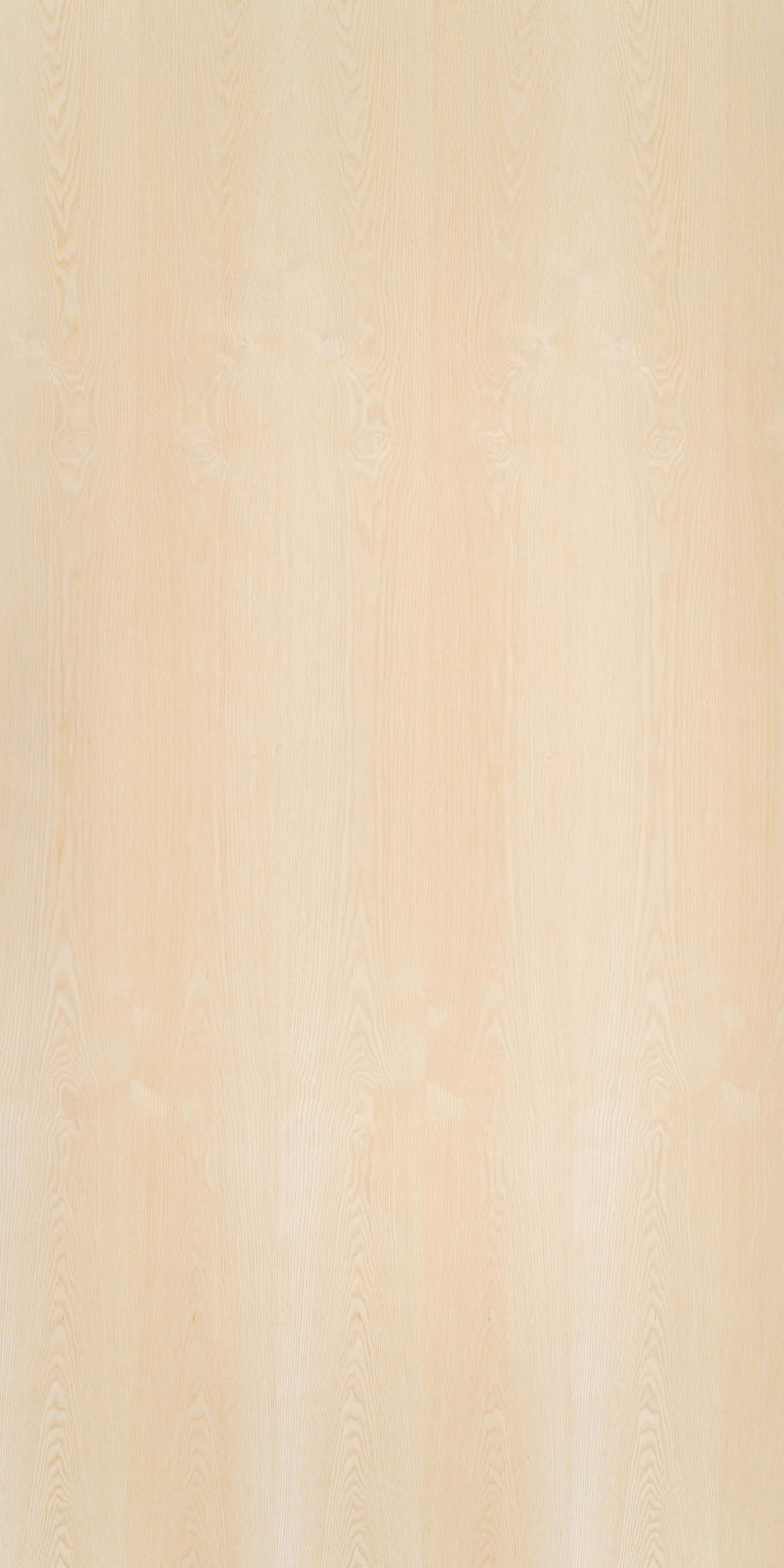 Plain Beige 桌布 壁紙 — 光滑淺米色木紋紋理，帶有微妙的垂直圖案和柔和自然變化。