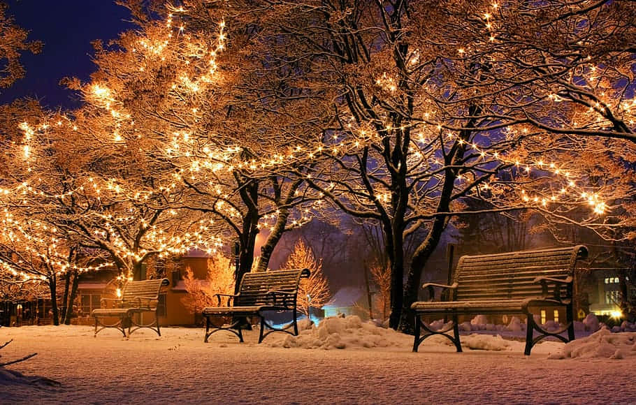  壁紙 — 白雪覆蓋公園長椅，在纏繞冬夜樹枝的發光燈串下，溫暖光芒映襯著靜謐冬景。