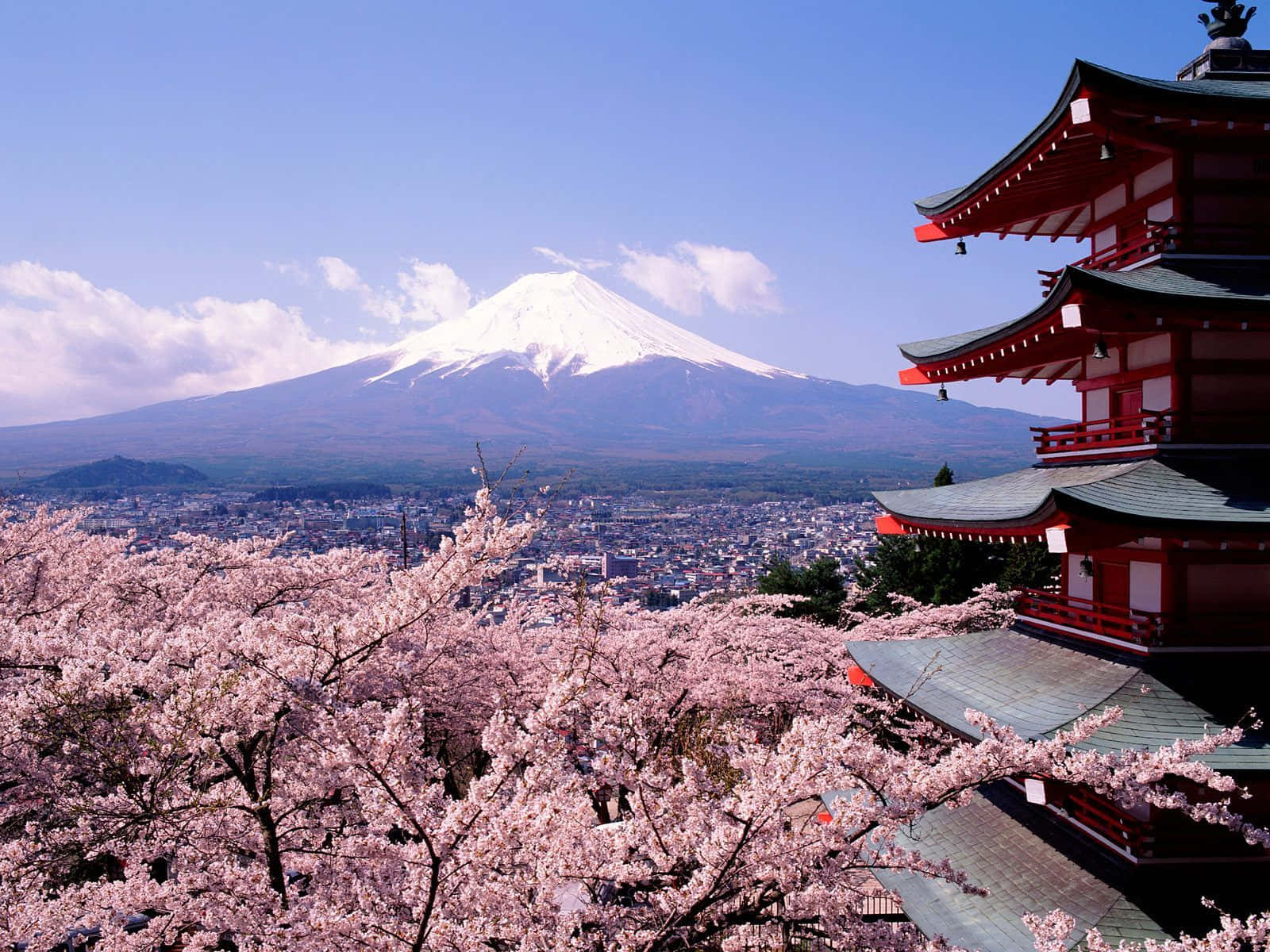 粉紅色的櫻花環繞著一座紅色寺廟，背景是富士山。 — 日式自然壁紙 壁紙