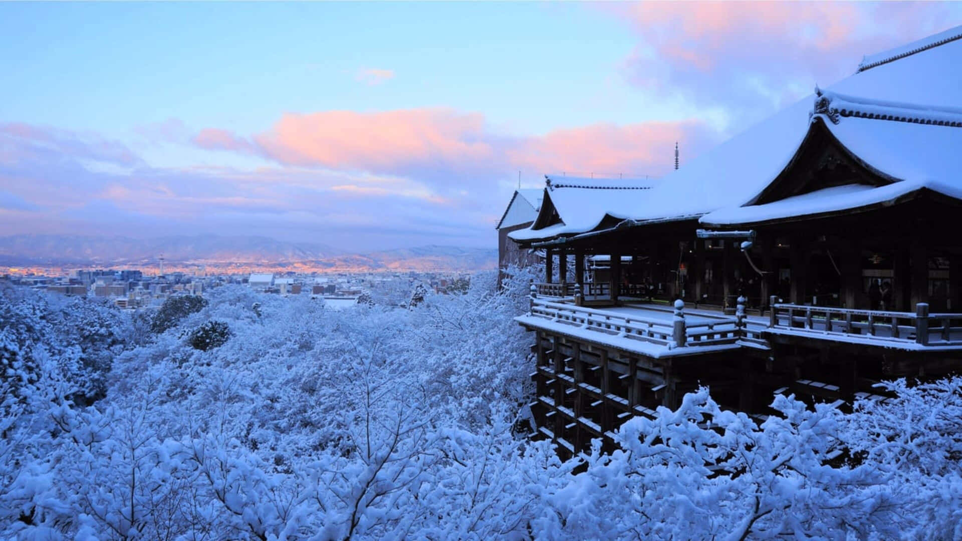 雪寺俯瞰櫻花樹和暮色中的城市。 — 京都 壁紙
