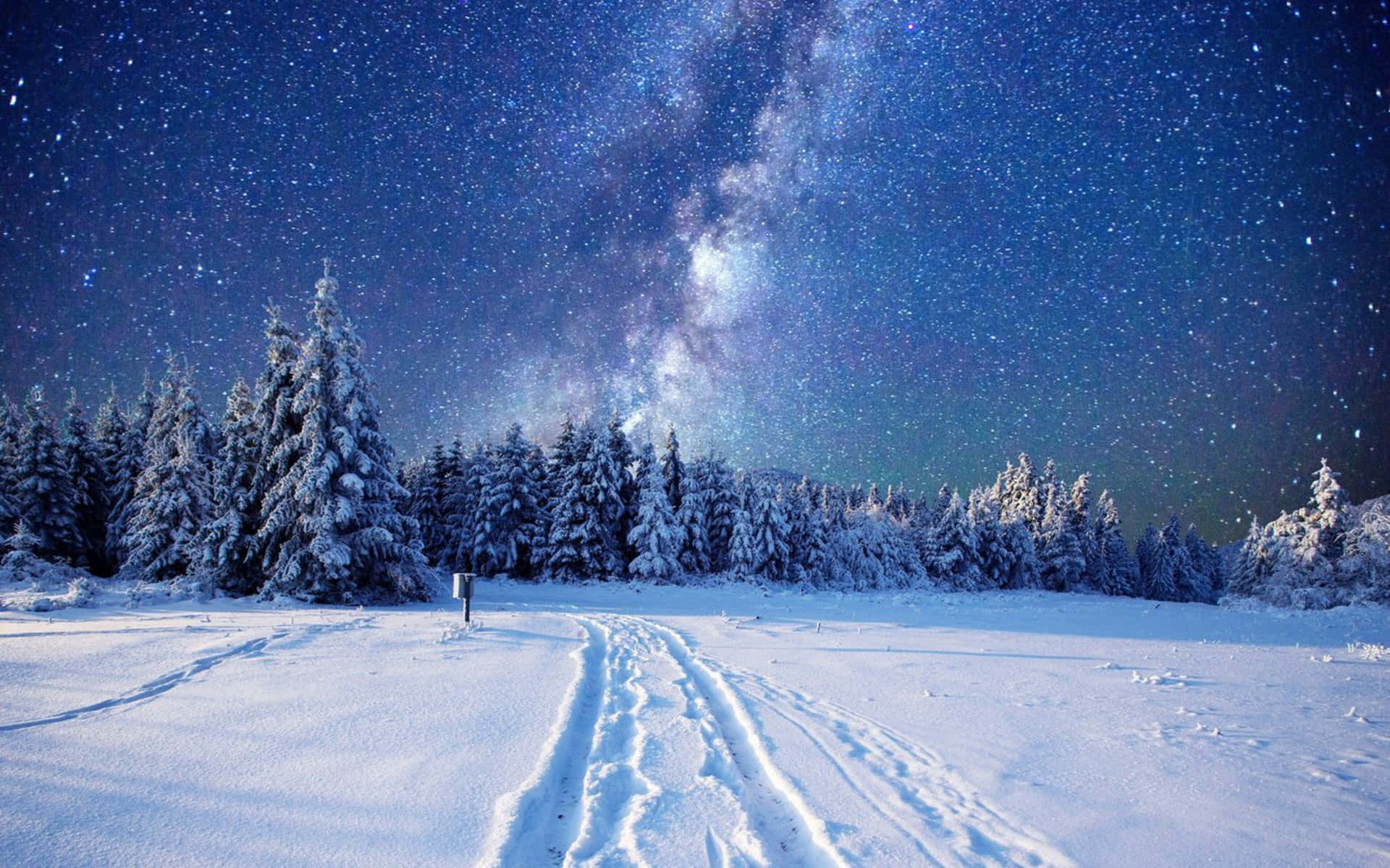 積雪覆蓋的森林小徑，上方是星空，銀河清晰可見。 — 4K 壁紙