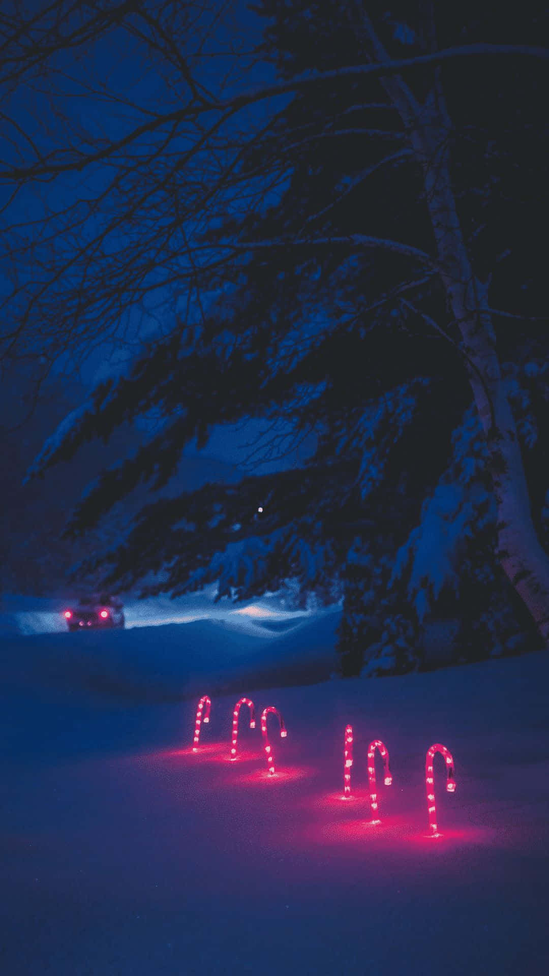  壁紙 — 白雪皚皚的冬夜，粉紅色拐杖糖燈在光禿禿的樹下沿著小路閃爍，遠處有車燈。