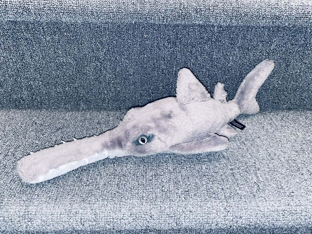  壁紙 — 一個柔軟的灰色毛絨鋸魚玩具放在一張有紋理的灰色布藝沙發上。