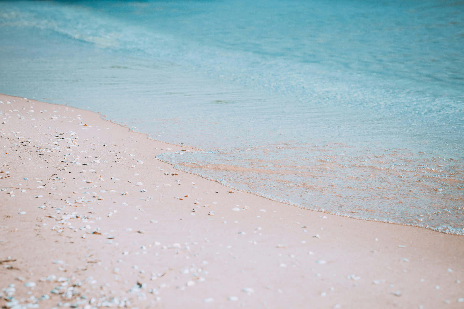  壁紙 — 柔軟的粉紅沙灘與碧綠海浪相遇，形成寧靜的海岸景色，伴隨著輕柔的泡沫。