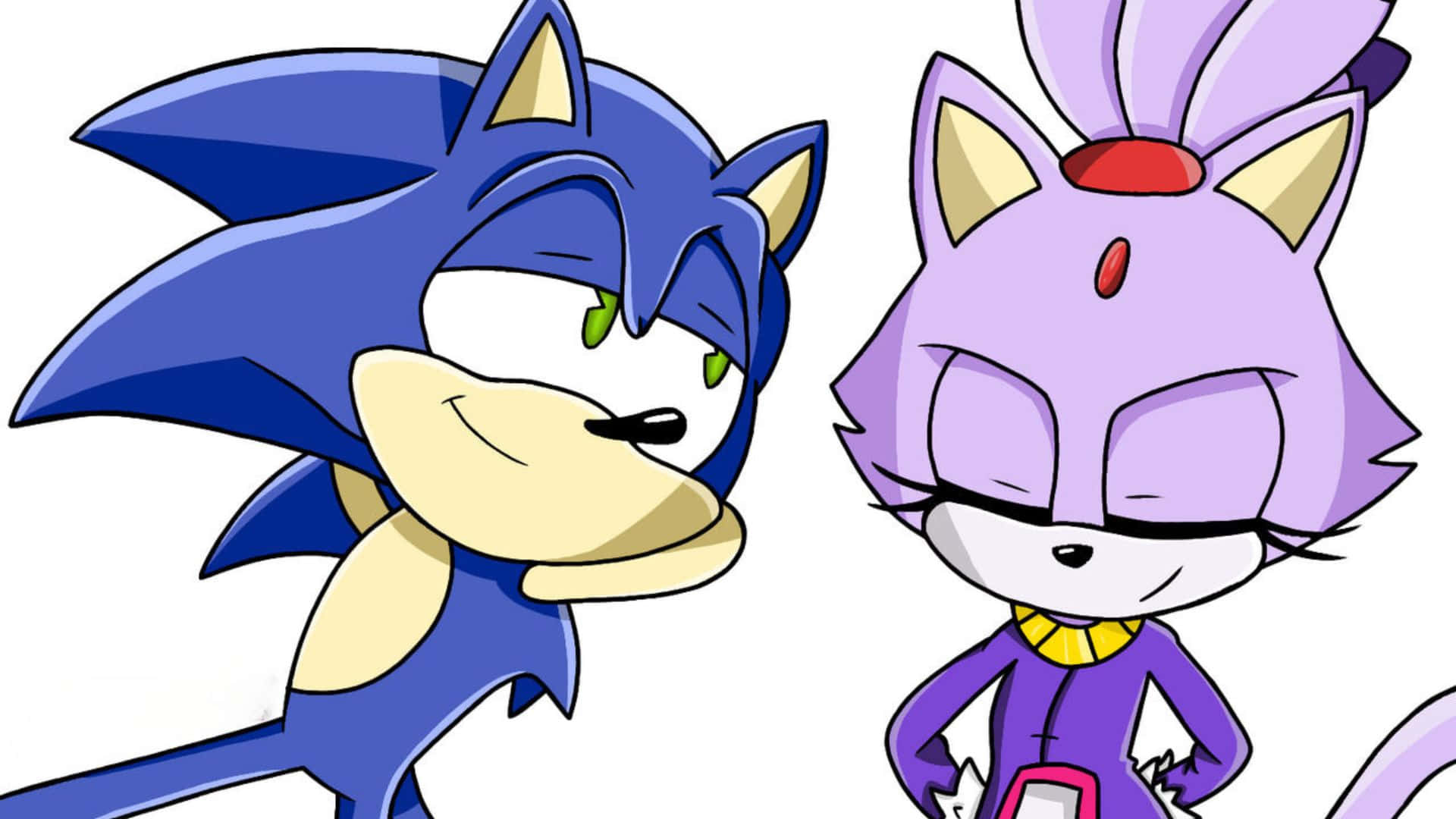 Sonic And Blaze 桌布 壁紙 — Sonic the Hedgehog 和一個紫色貓角色並排站在純白色背景前，表情充滿自信。