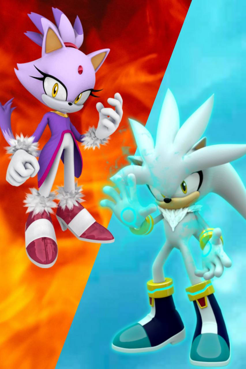 Blaze The Cat 桌布 壁紙 — Sonic the Hedgehog 和 Silver the Hedgehog 以動感姿勢站在火紅與冰藍的分割背景前。