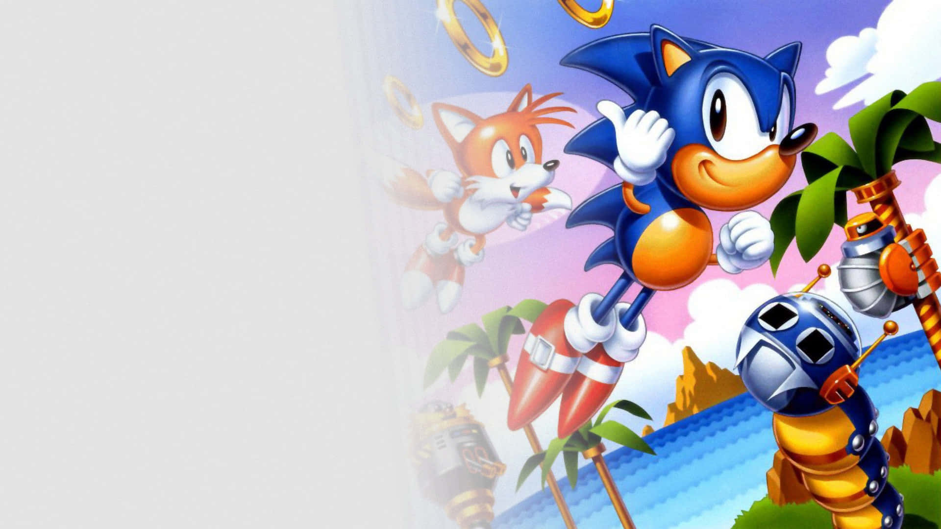  壁紙 — Sonic the Hedgehog 和 Tails 在一個有棕櫚樹和金環在天空飛翔的熱帶島嶼上奔馳。