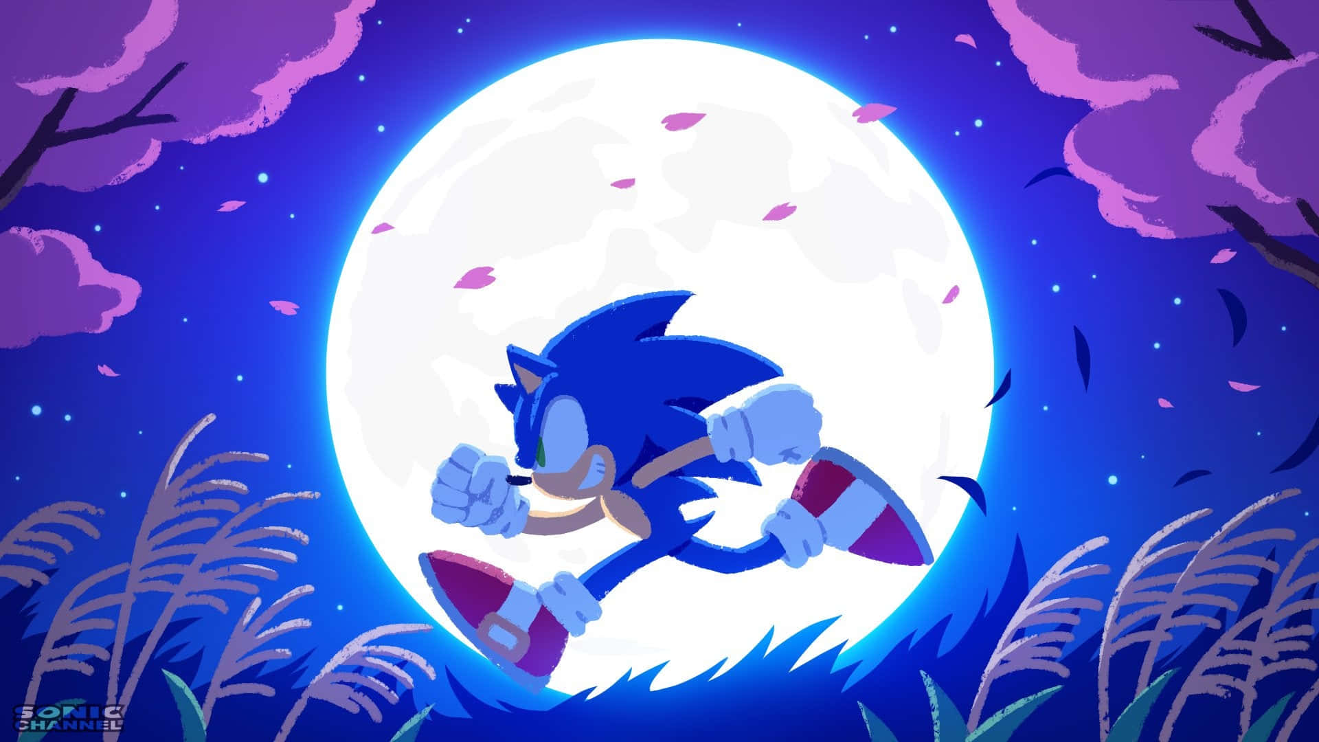 Sonic Art 桌布 壁紙 — Sonic the Hedgehog 在月光照耀的夜晚疾馳，紫色雲朵和飄落的花瓣框住了場景。
